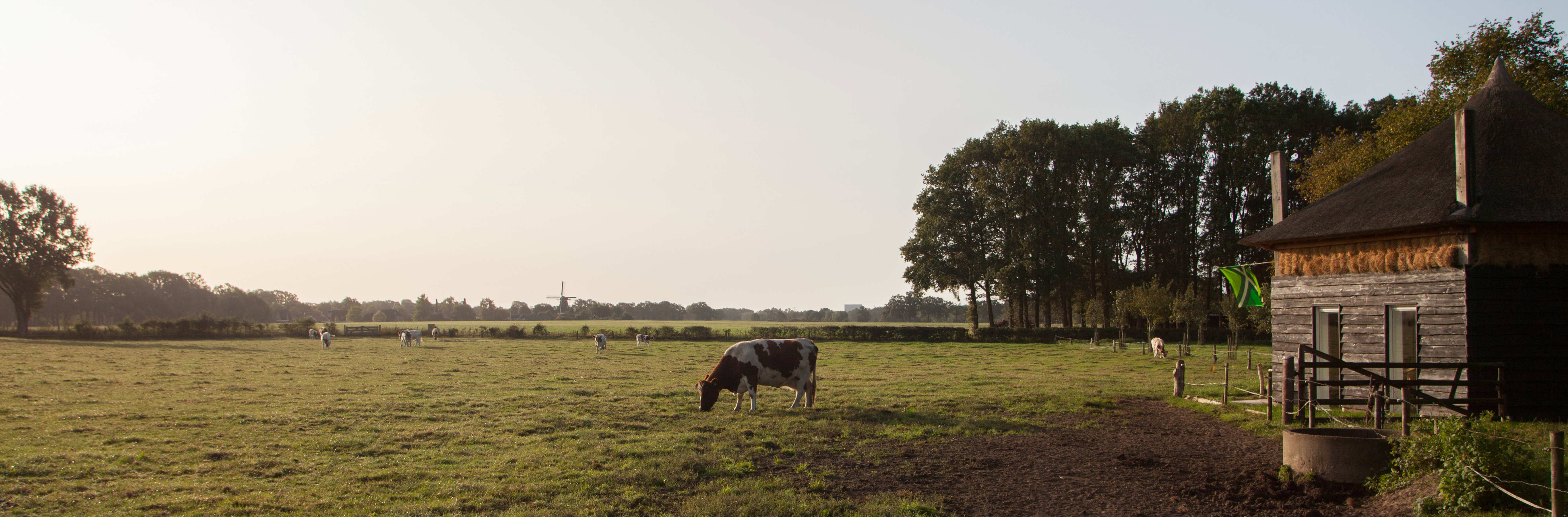 Natuurhuisje in Geesteren Gld