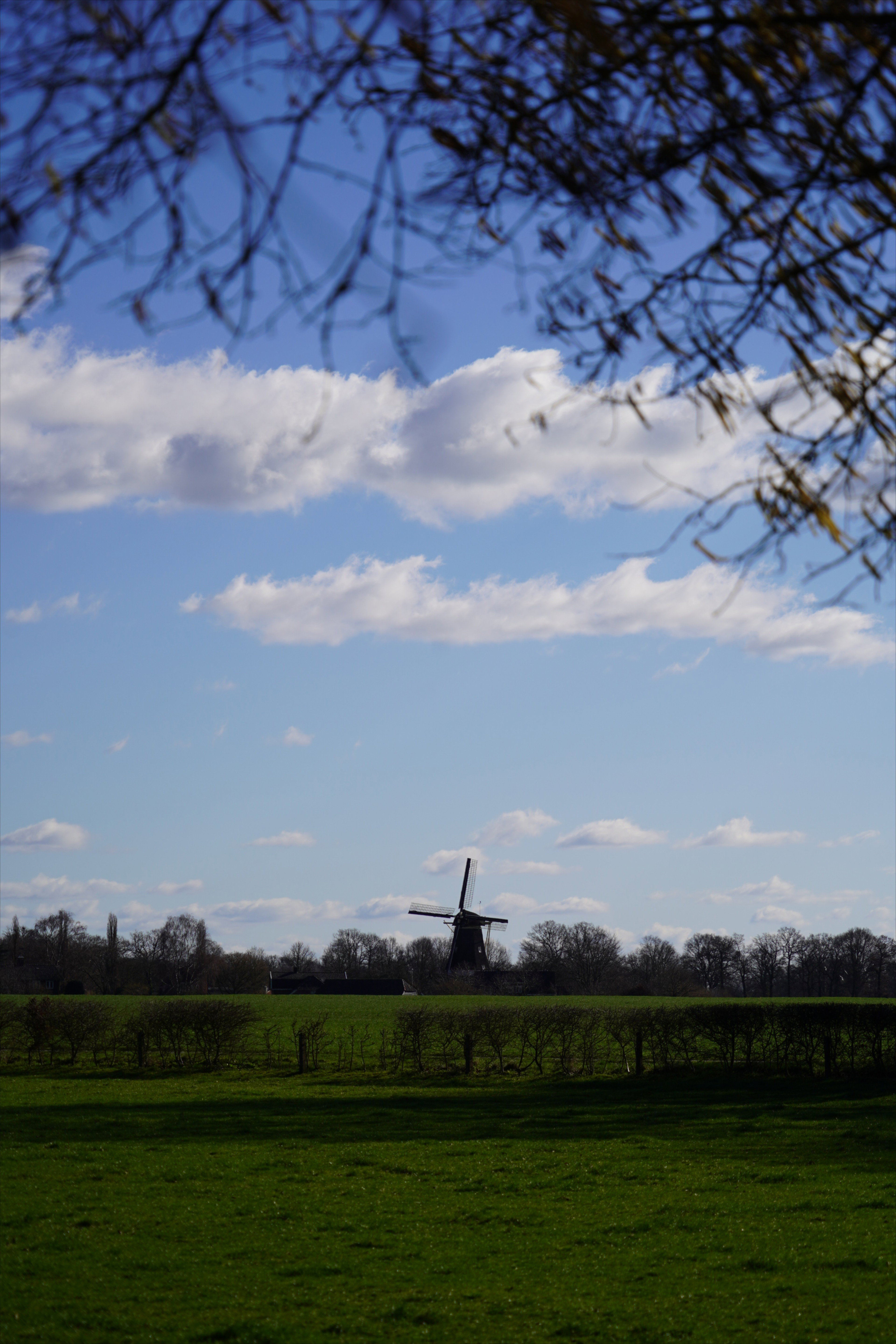 - image: 24