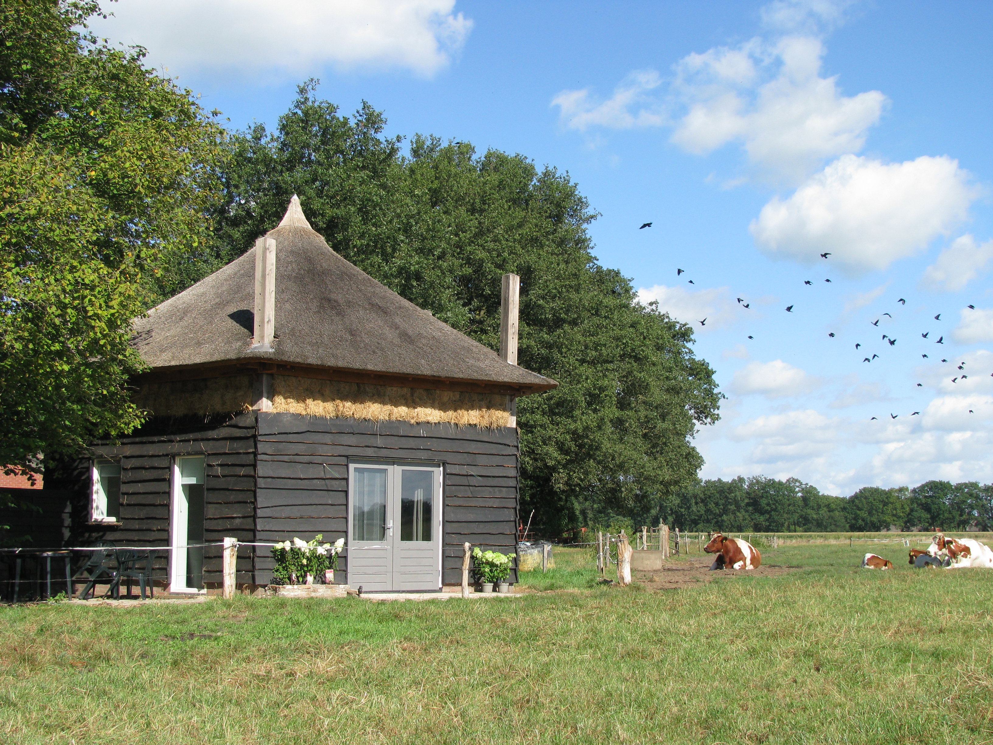 Natuurhuisje in Geesteren Gld