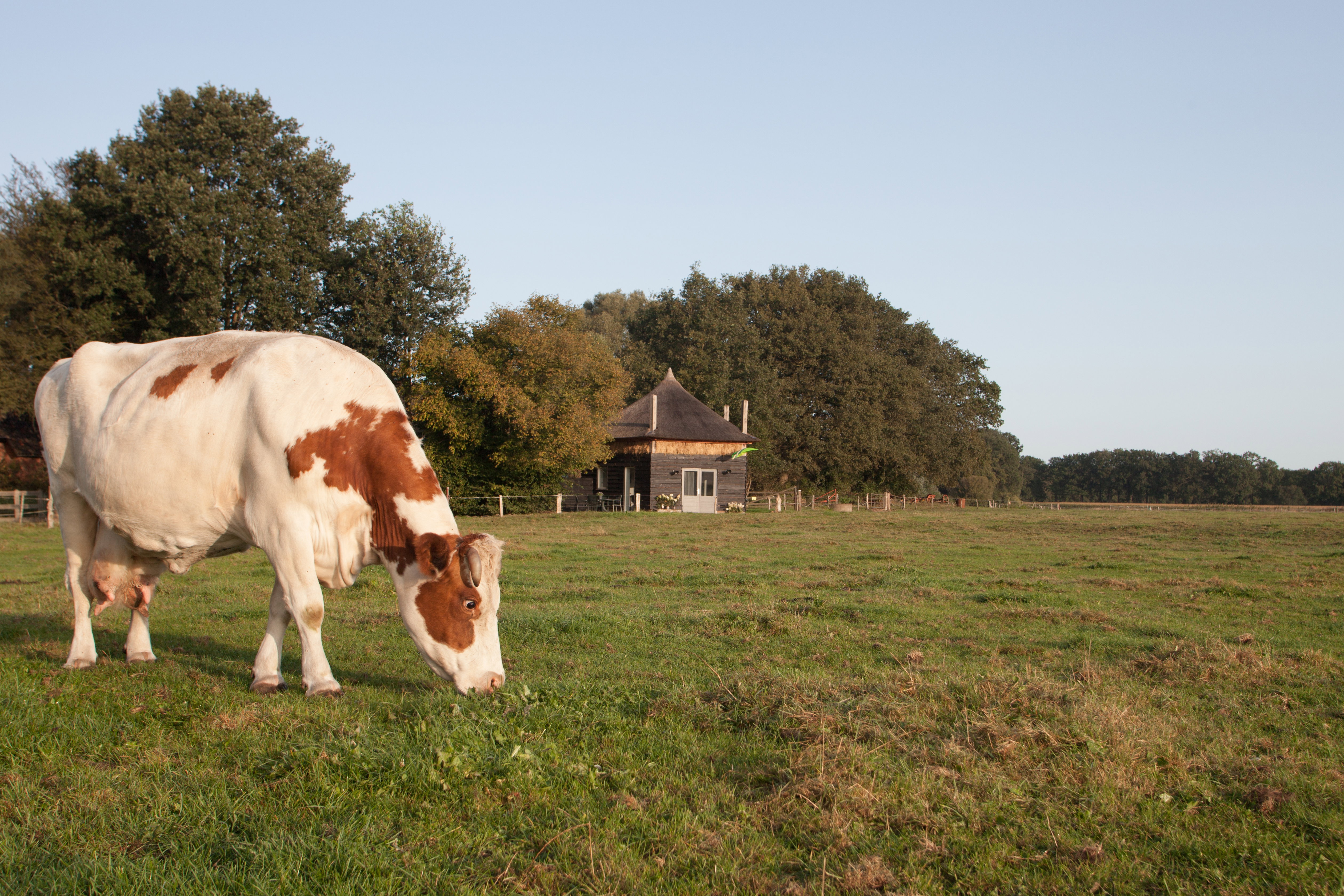 Natuurhuisje in Geesteren Gld