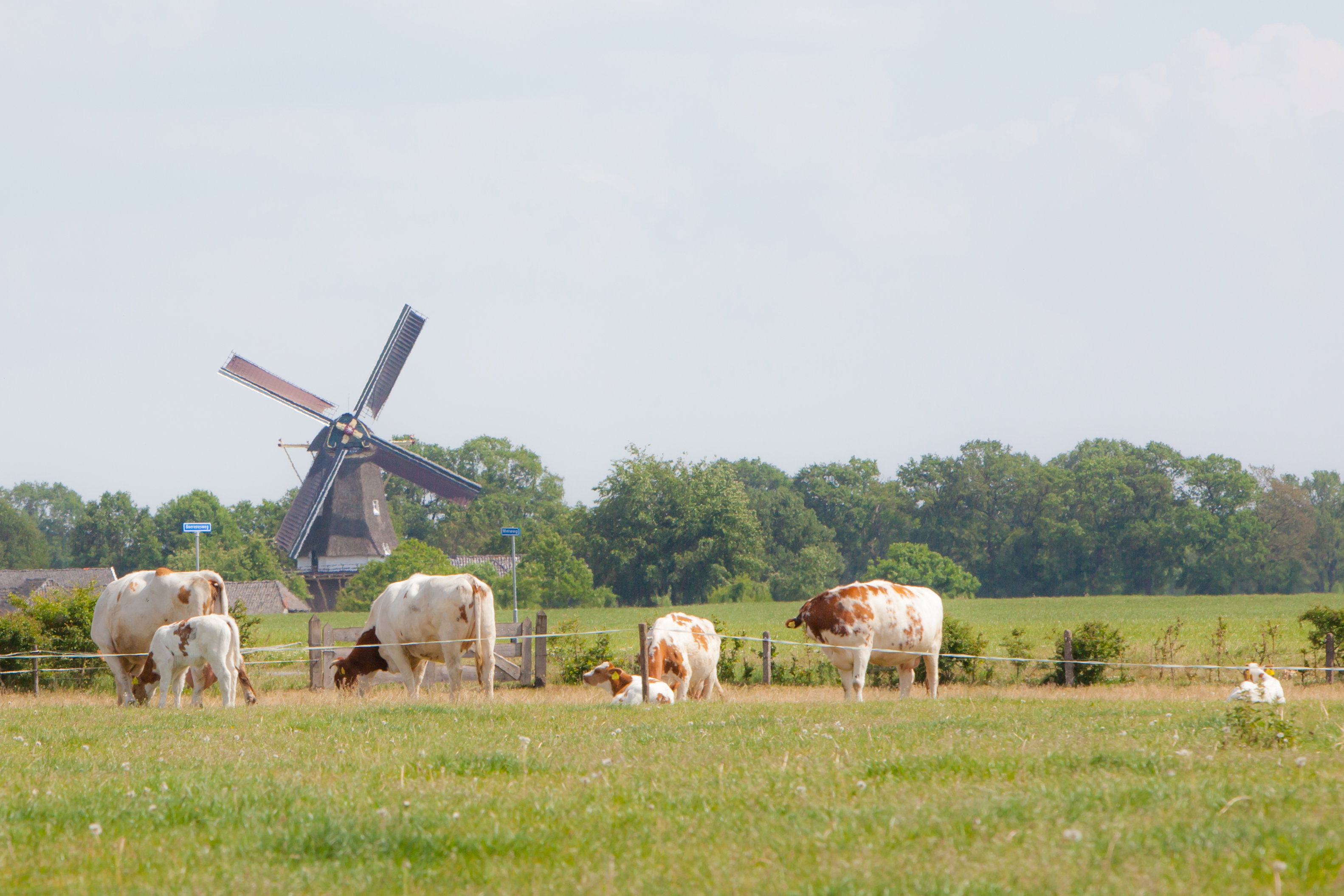 Natuurhuisje in Geesteren Gld