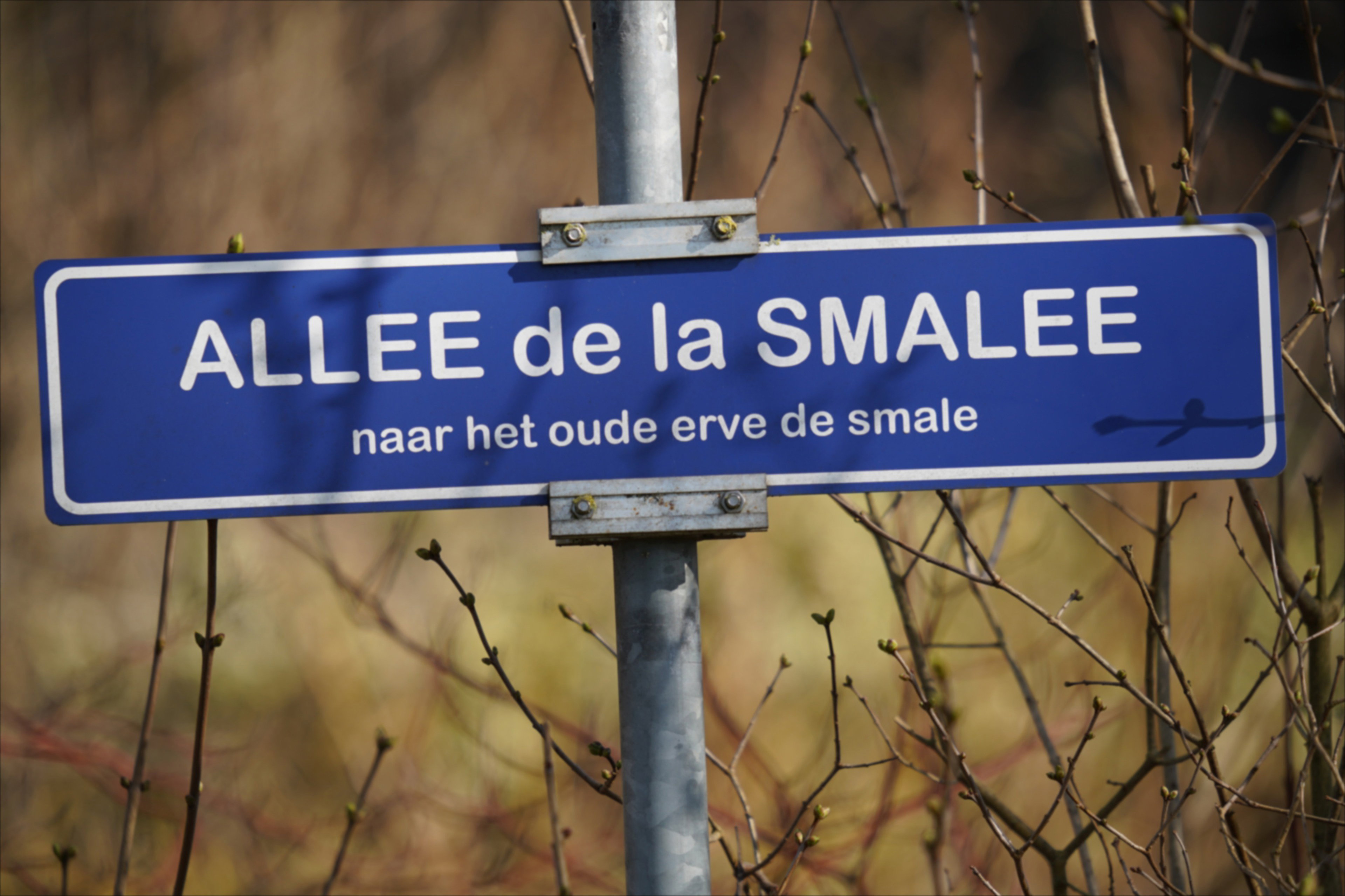 - image: 27