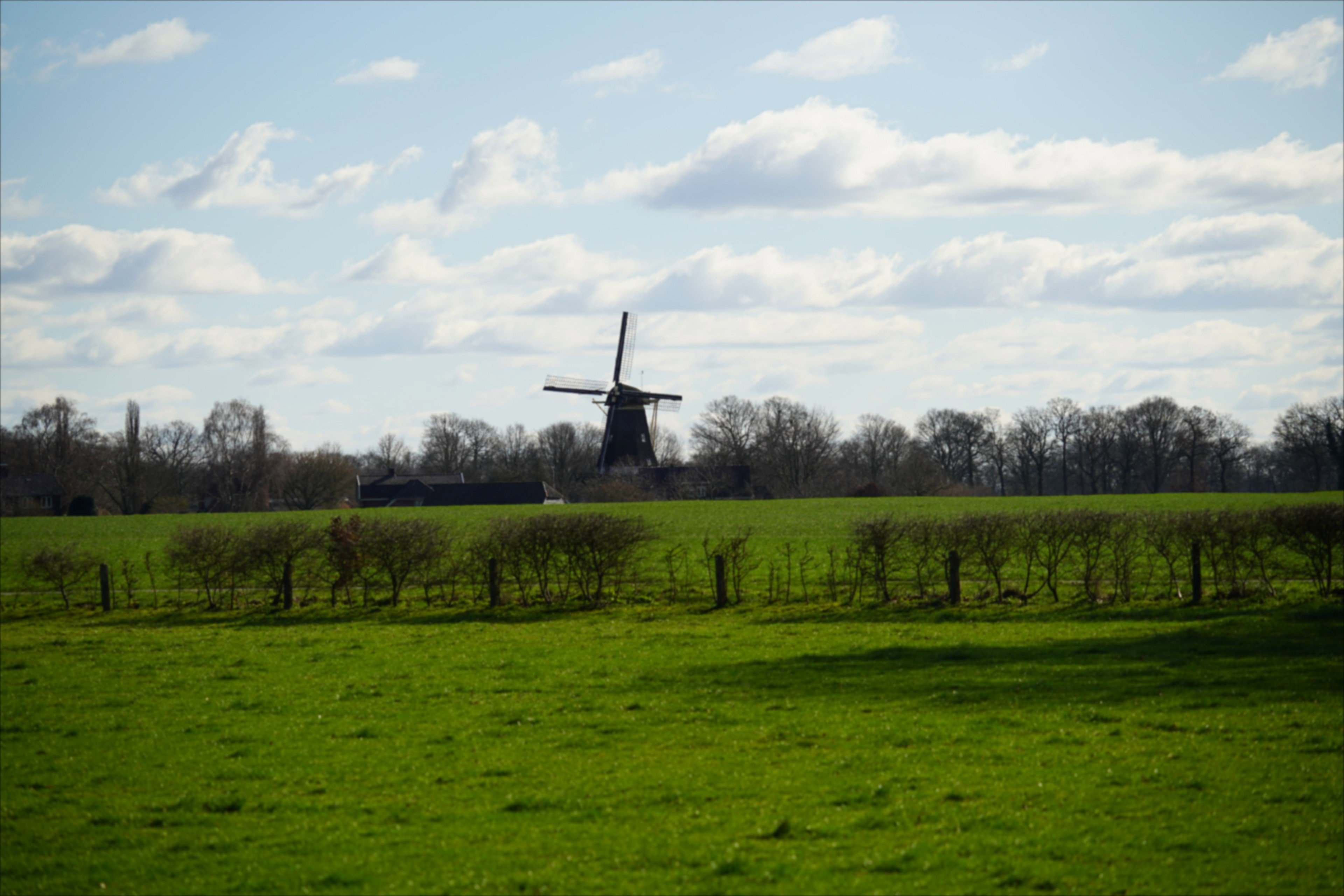 - image: 11