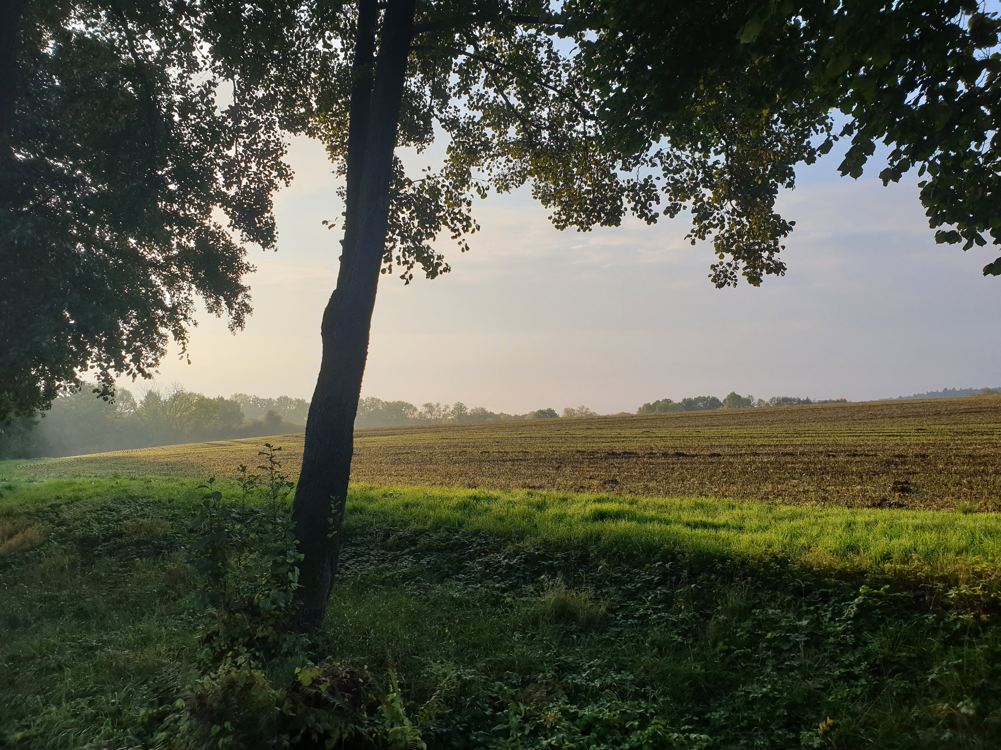 - image: 22