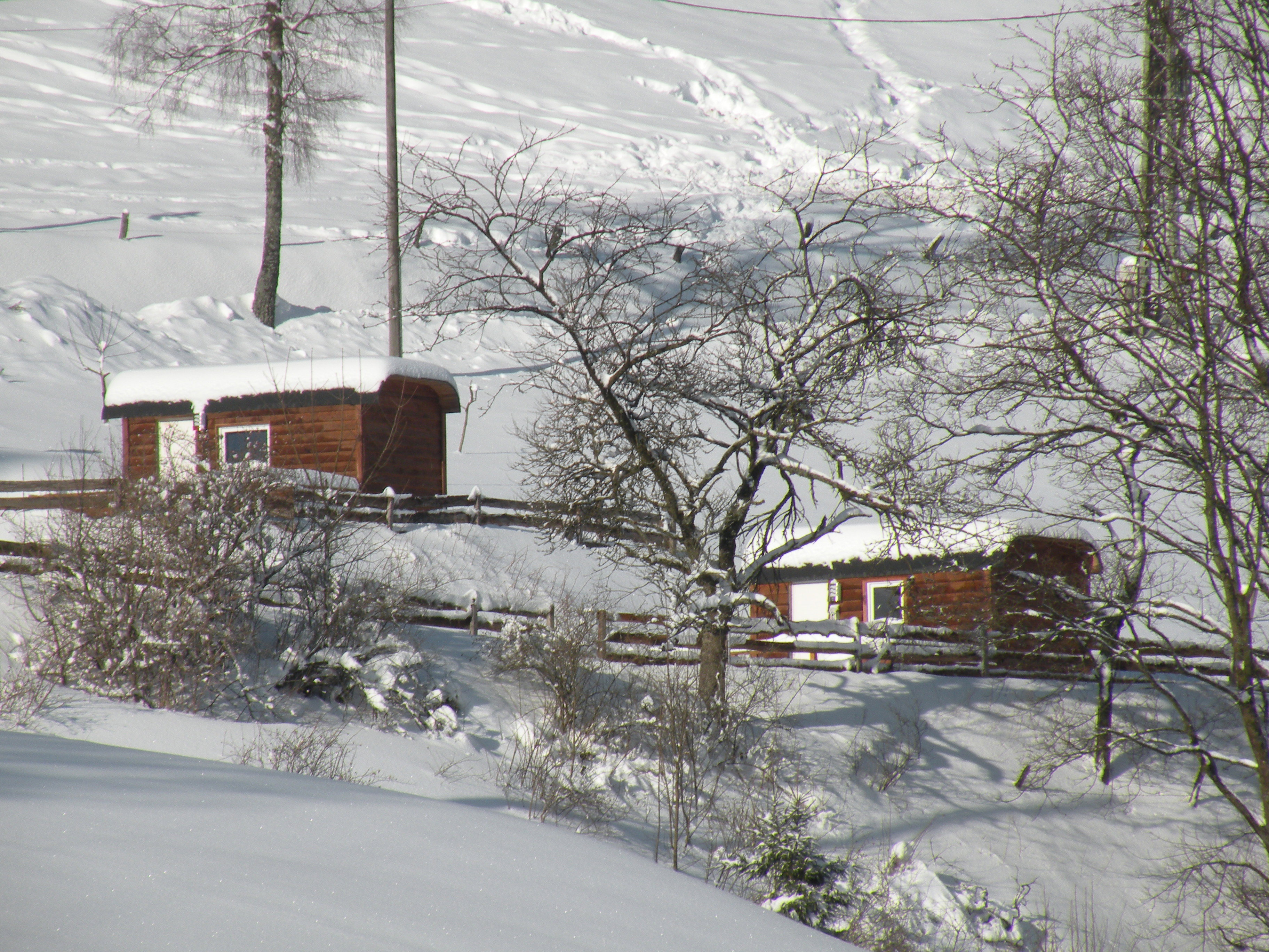 Naturhäuschen in Nordrhein-Westfalen - Schmallenberg