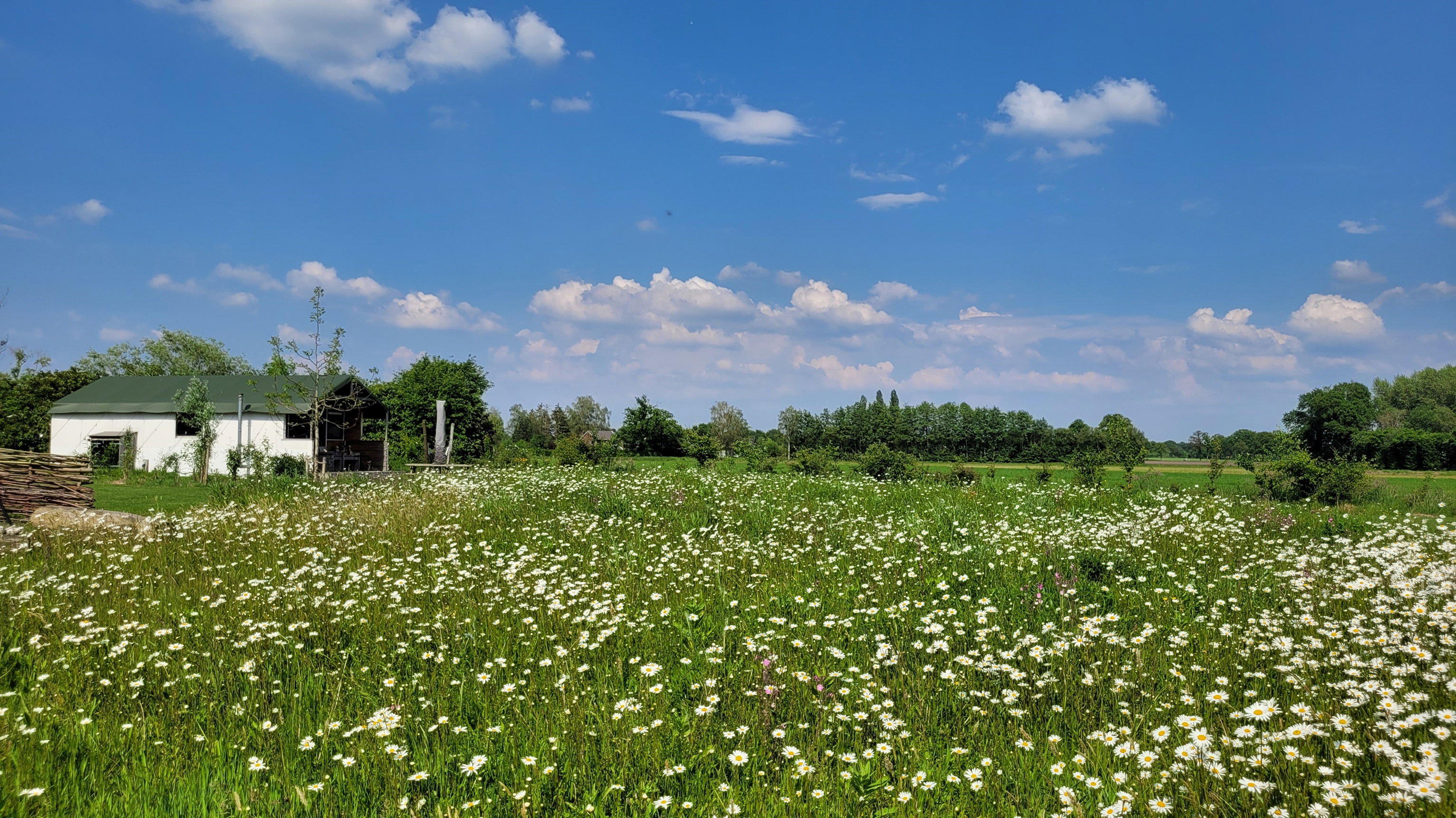 Naturhäuschen in Ruurlo