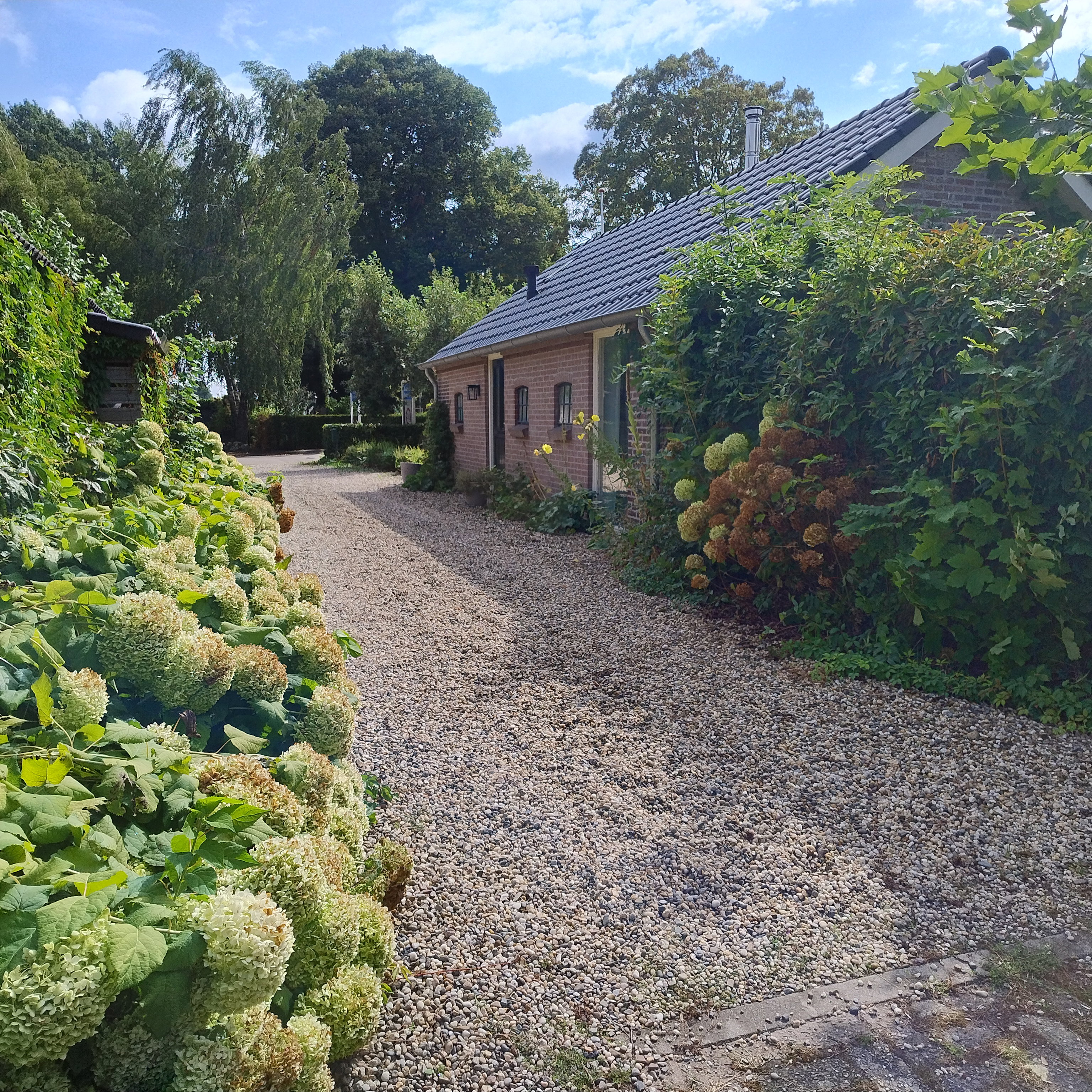 Naturhäuschen in Dalerveen