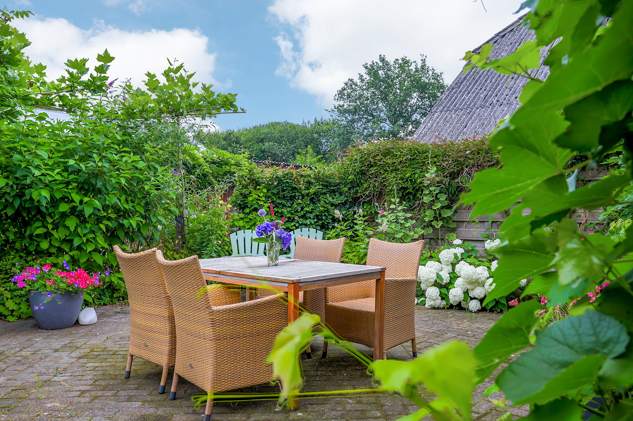 Casa nella natura a Dalerveen