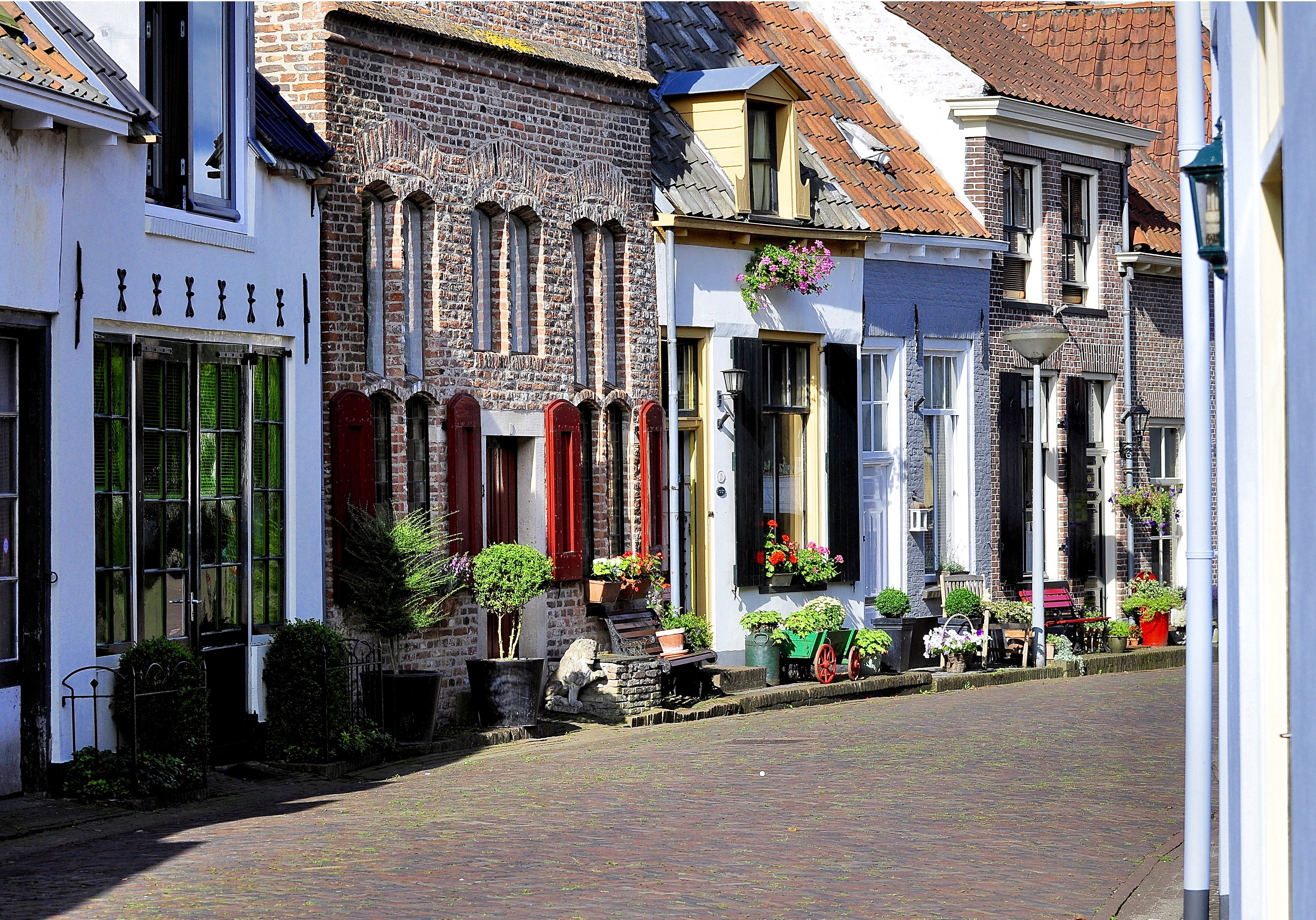 - image: 25