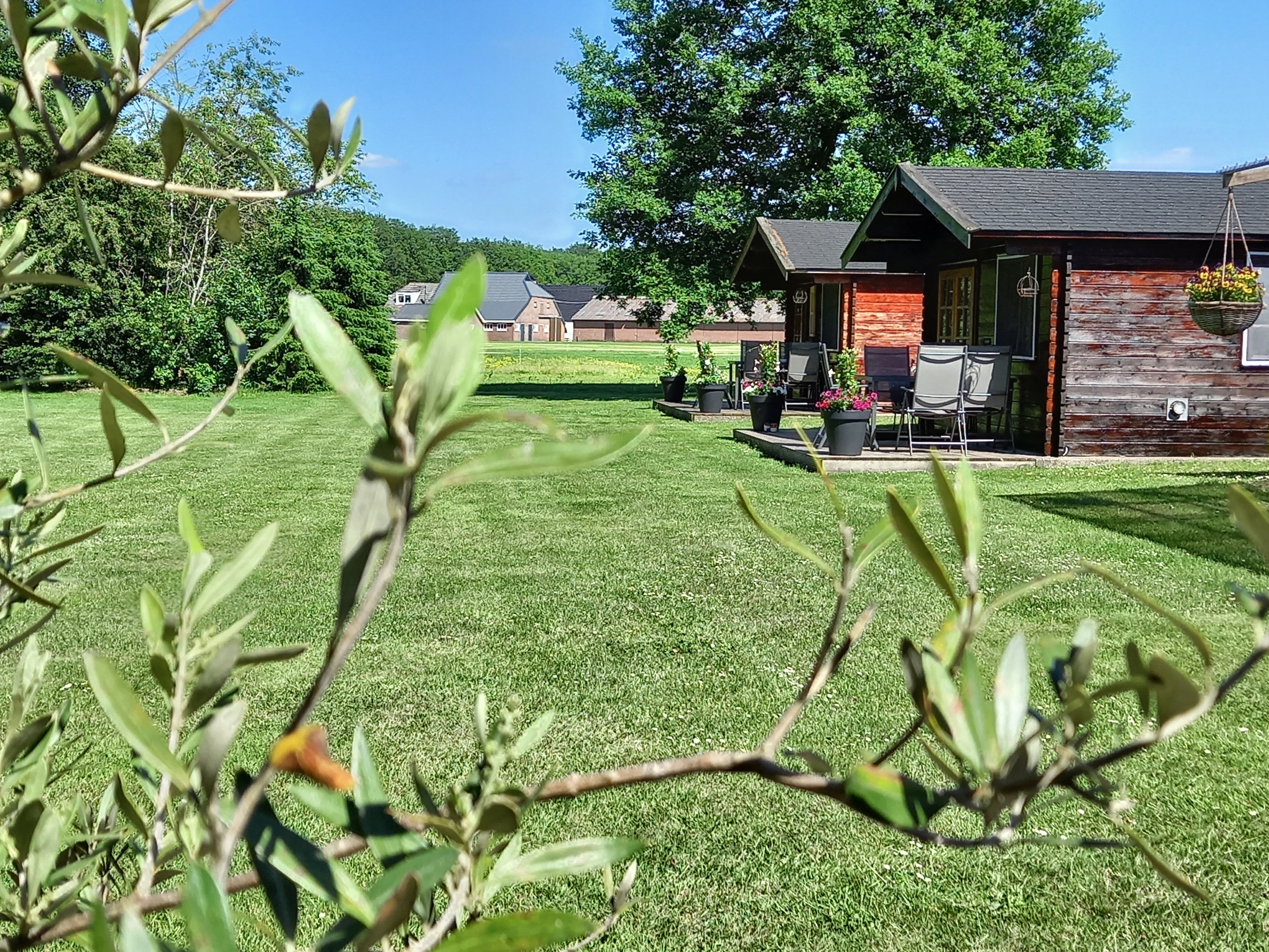 Maison nature à Zwiggelte