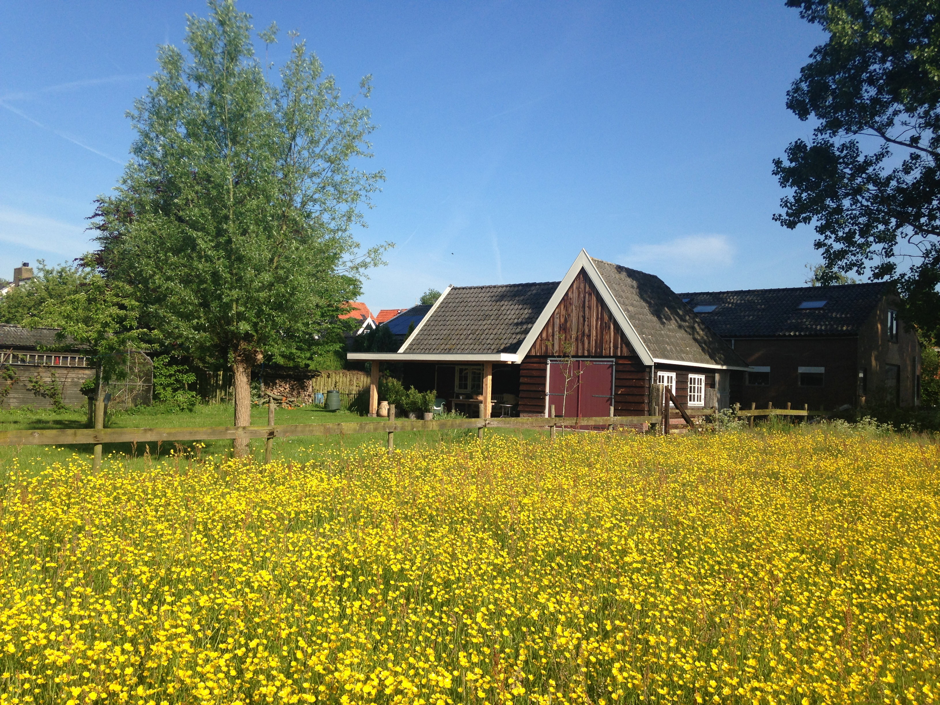 Maison nature à Castricum