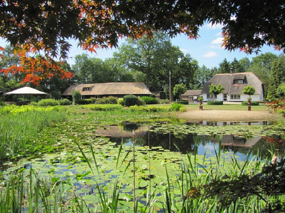 Natuurhuisje in Dalfsen