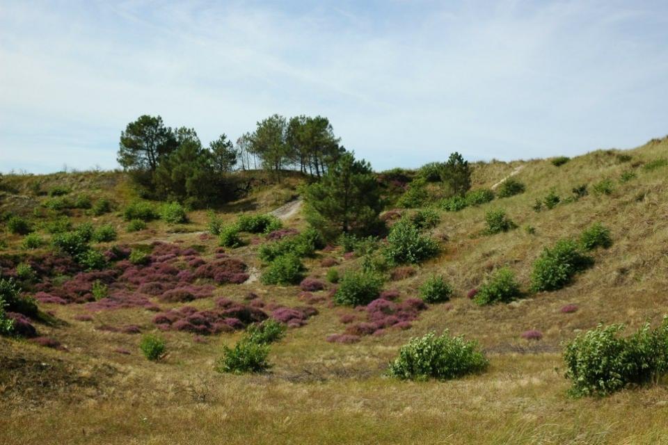 Maison nature à Groet