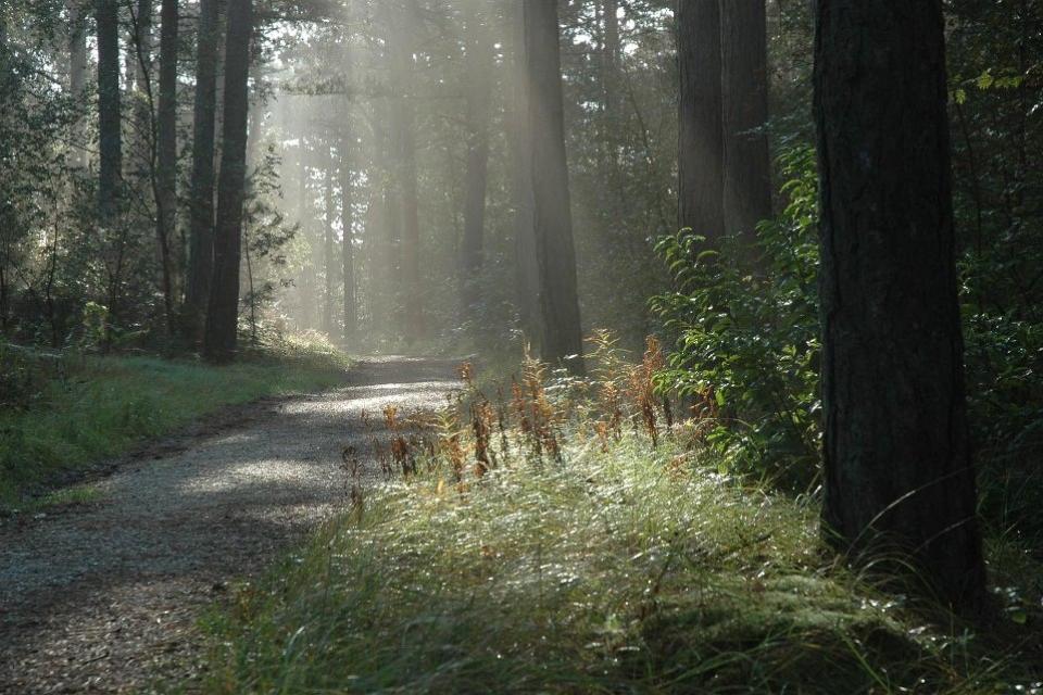 Maison nature à Groet