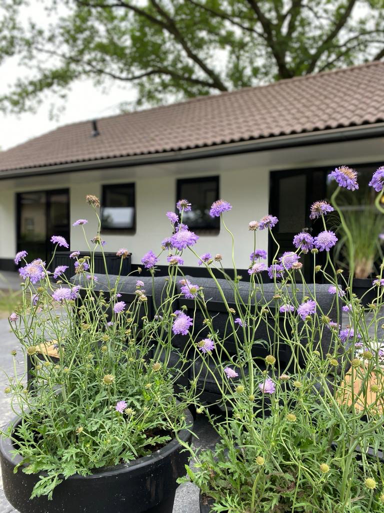 Maison nature à Lieren