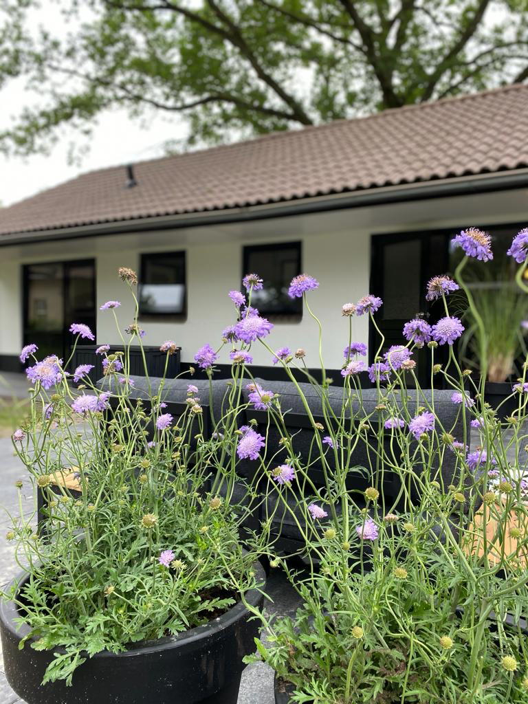 Nature house in Lieren