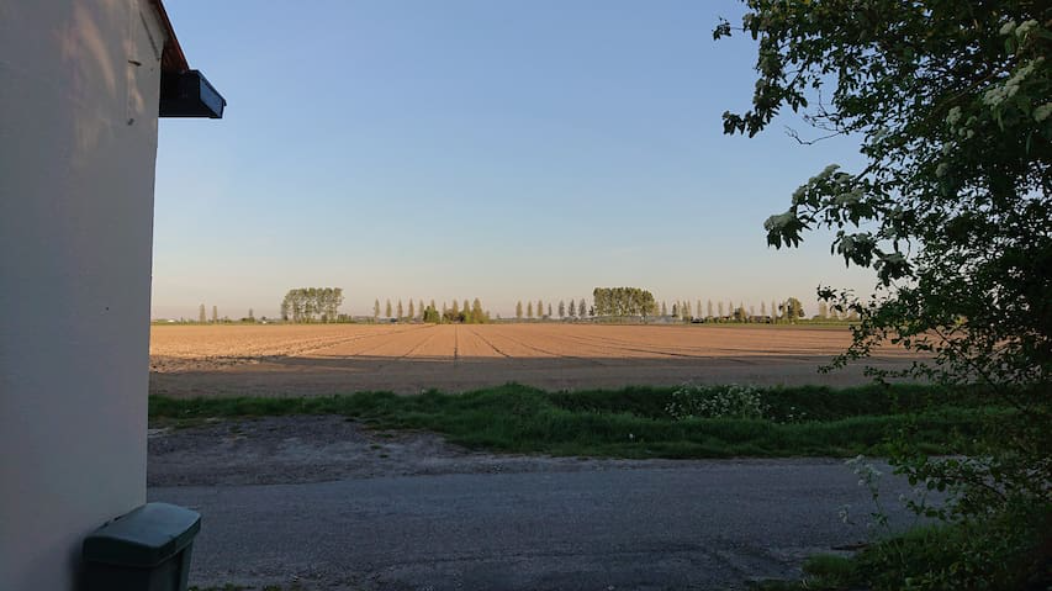 - image: 12