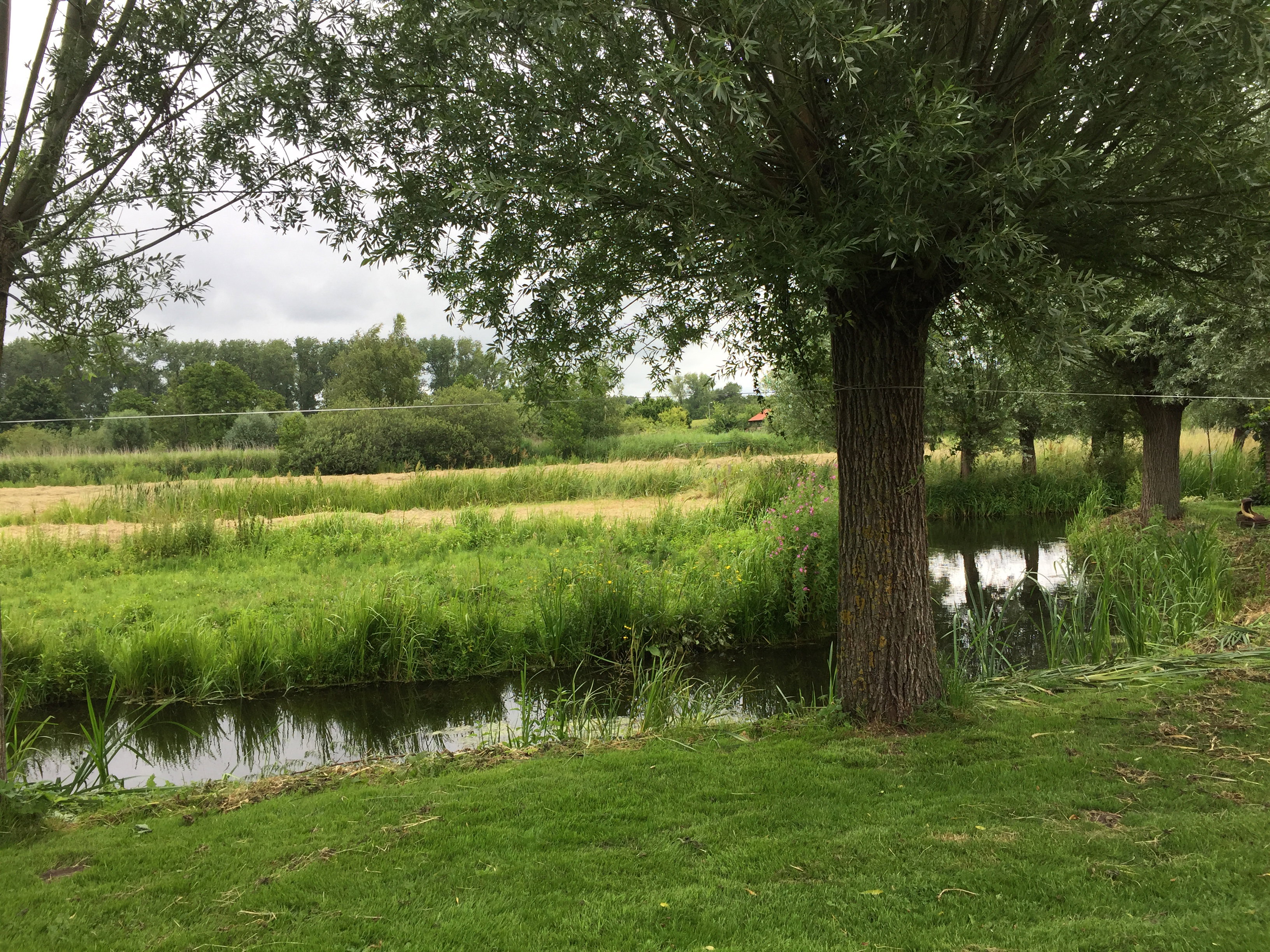 Naturhäuschen in Leerdam