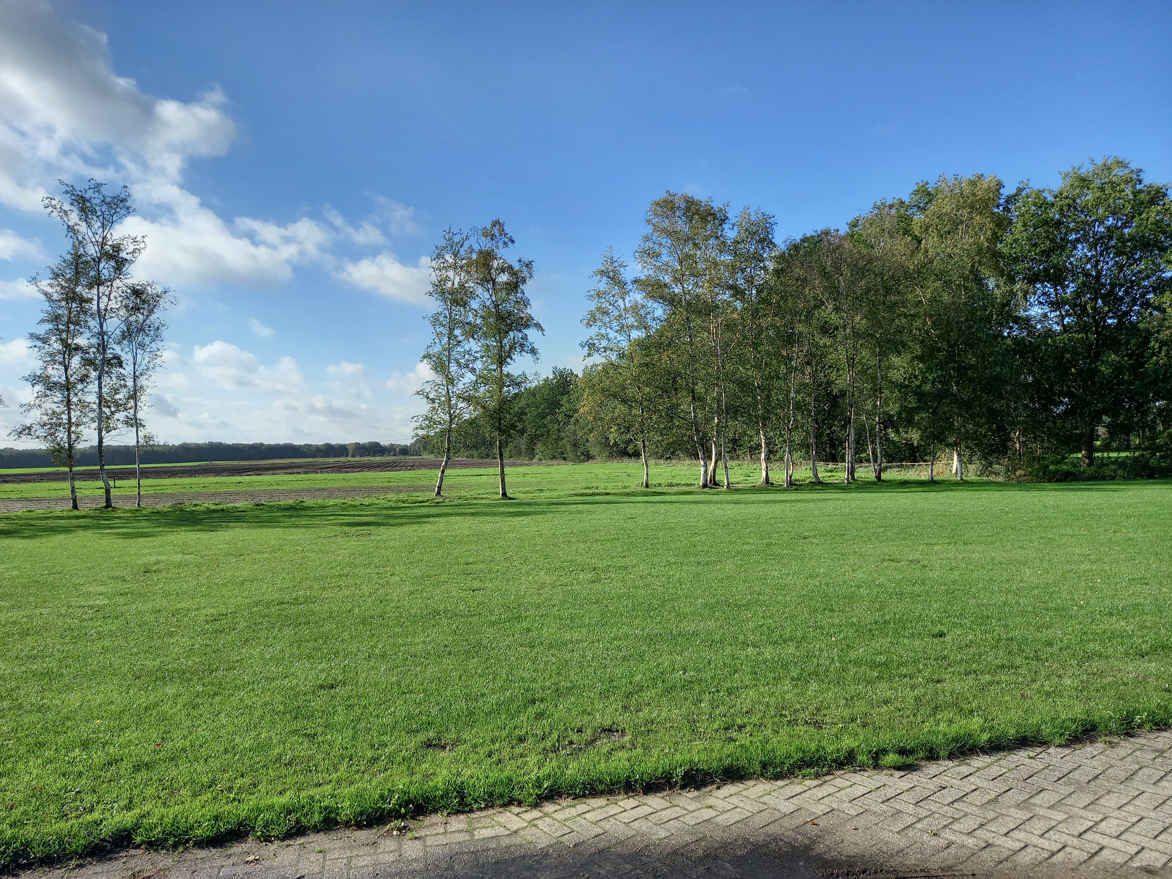 Maison nature à Zwiggelte