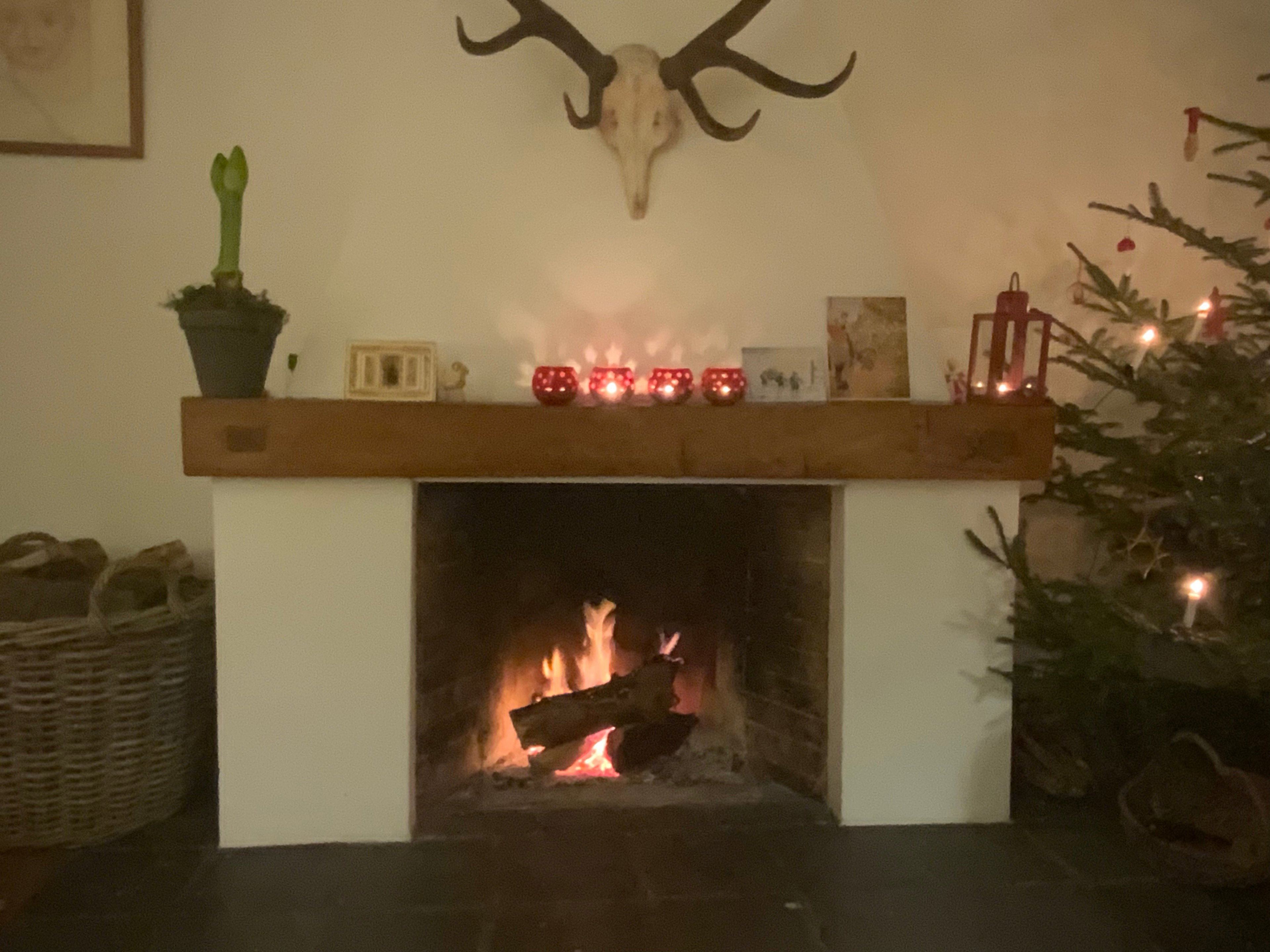 Naturhäuschen in Hoenderloo