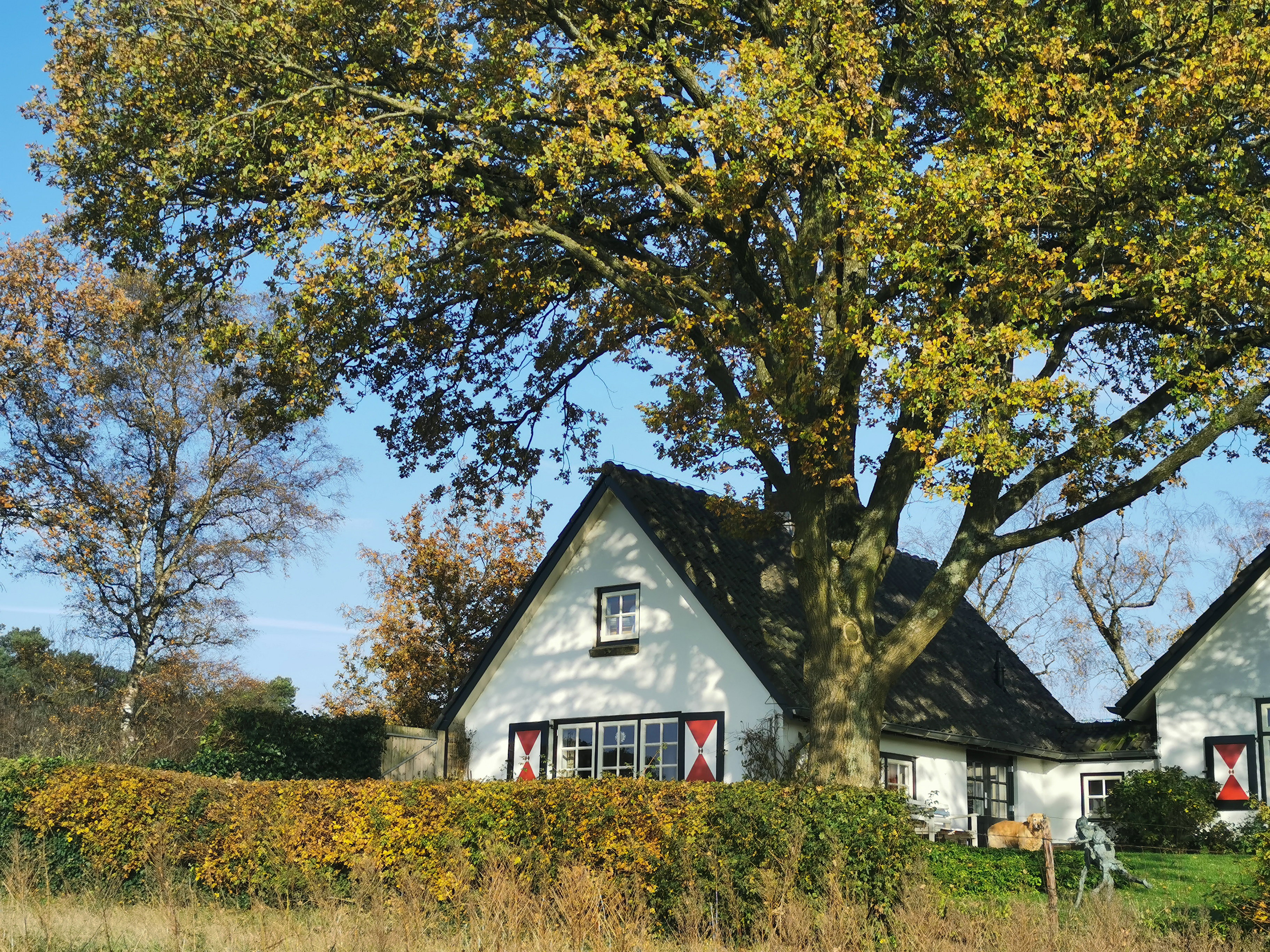 Casa nella natura a Hoenderloo
