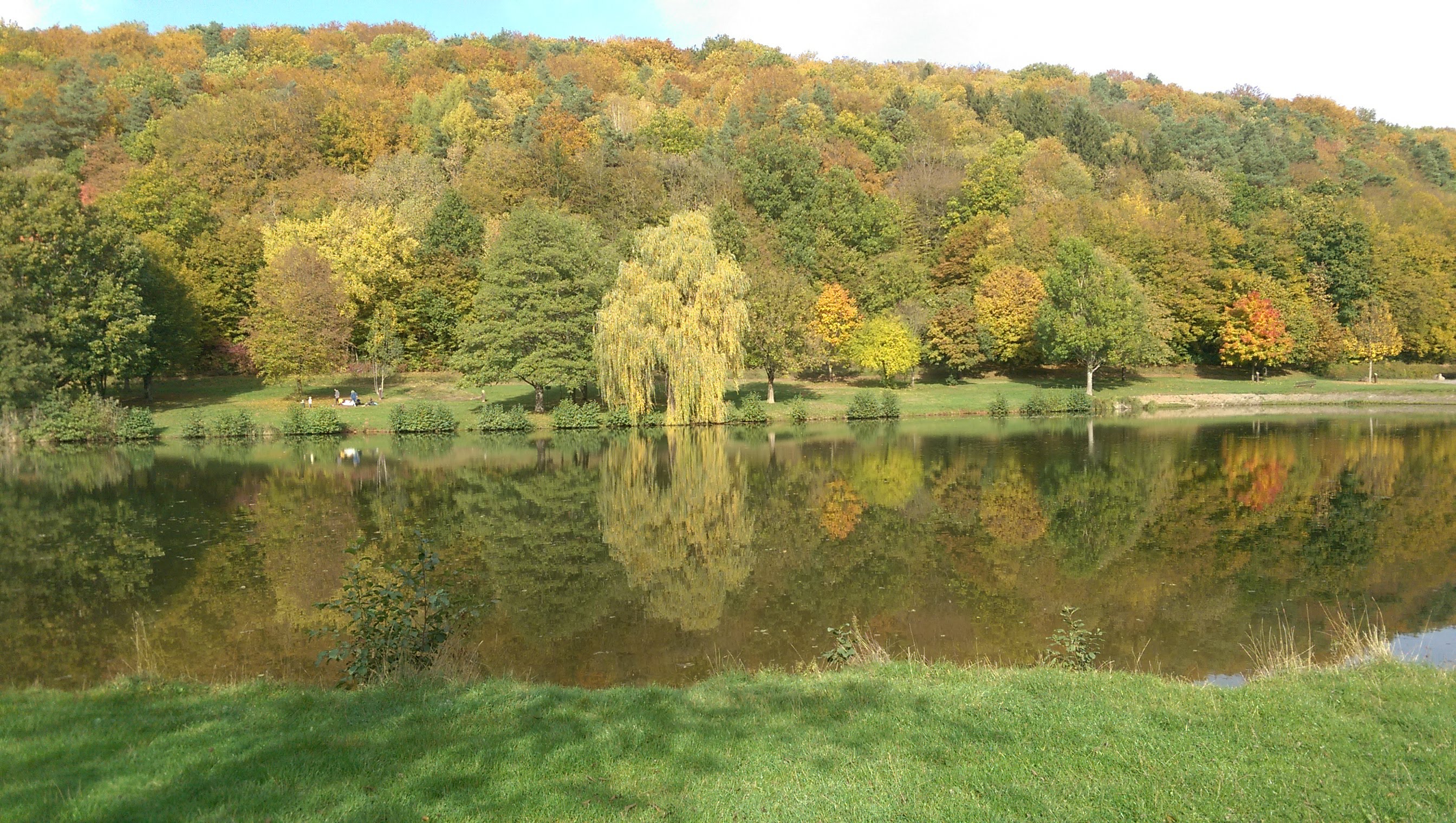 - image: 23