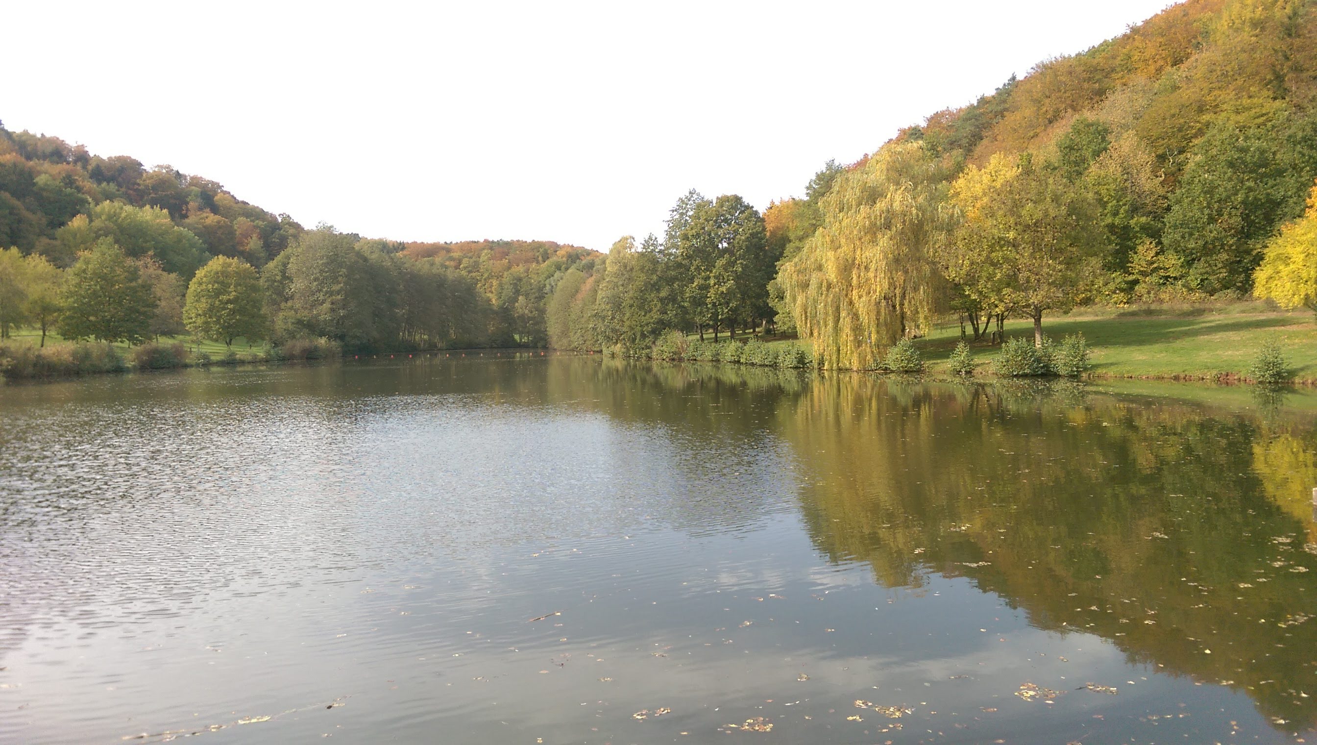 - image: 22