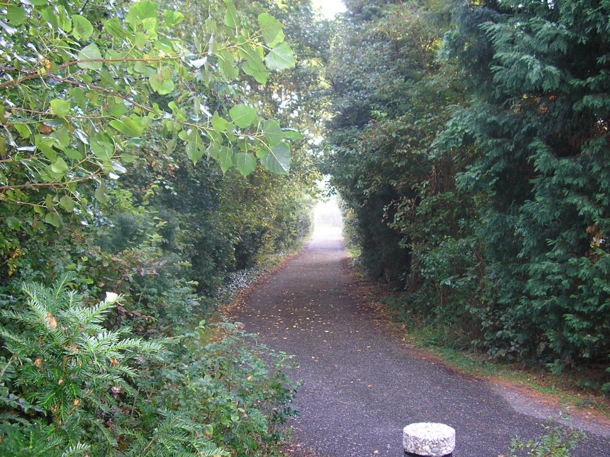 - image: 11