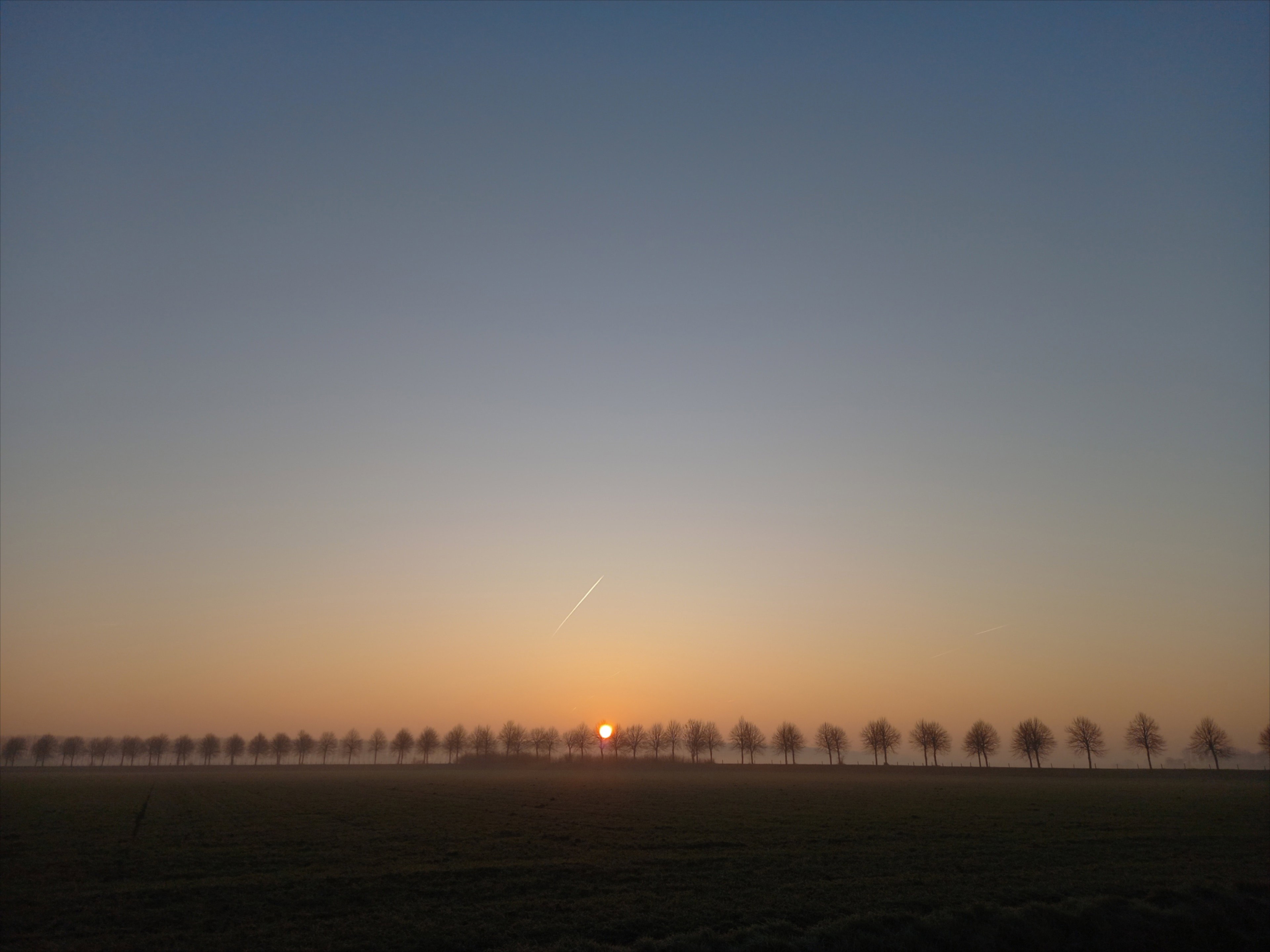- image: 78