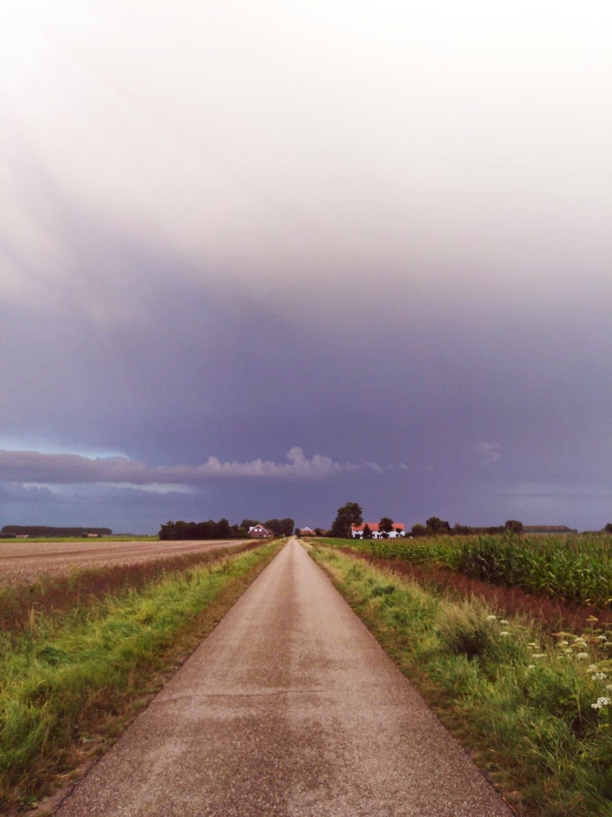 - image: 12