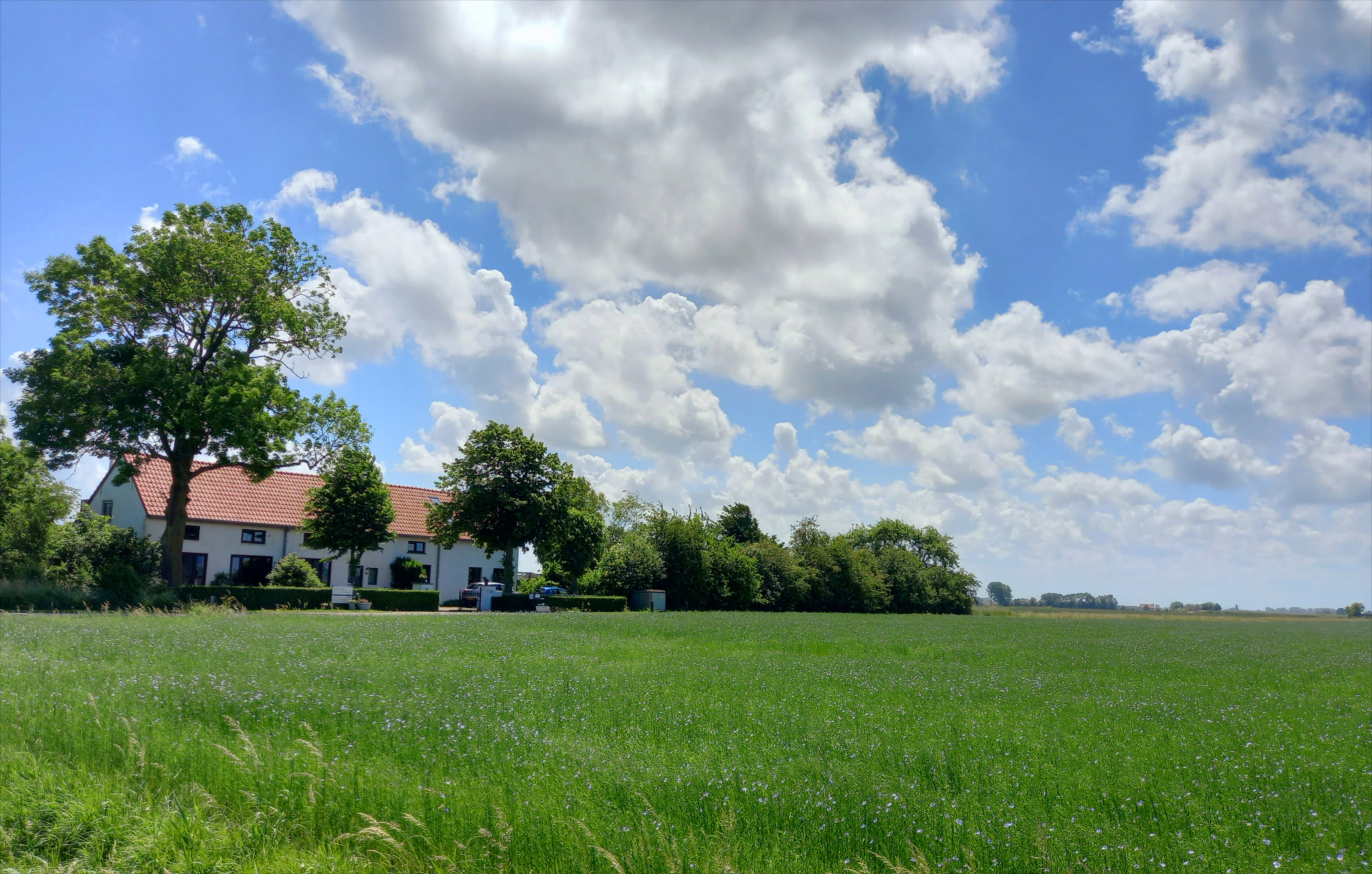 - image: 11