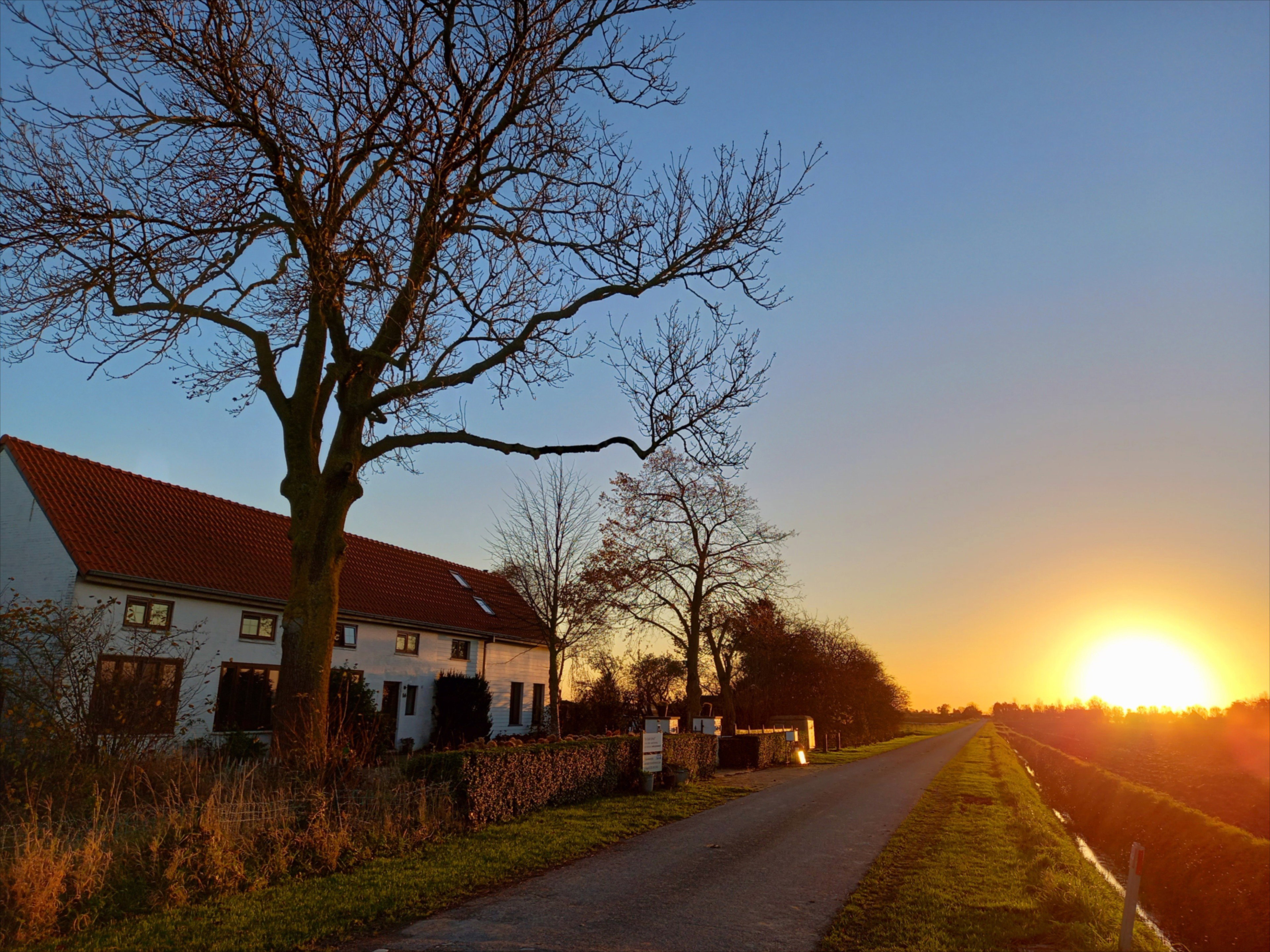 Naturhäuschen in IJzendijke