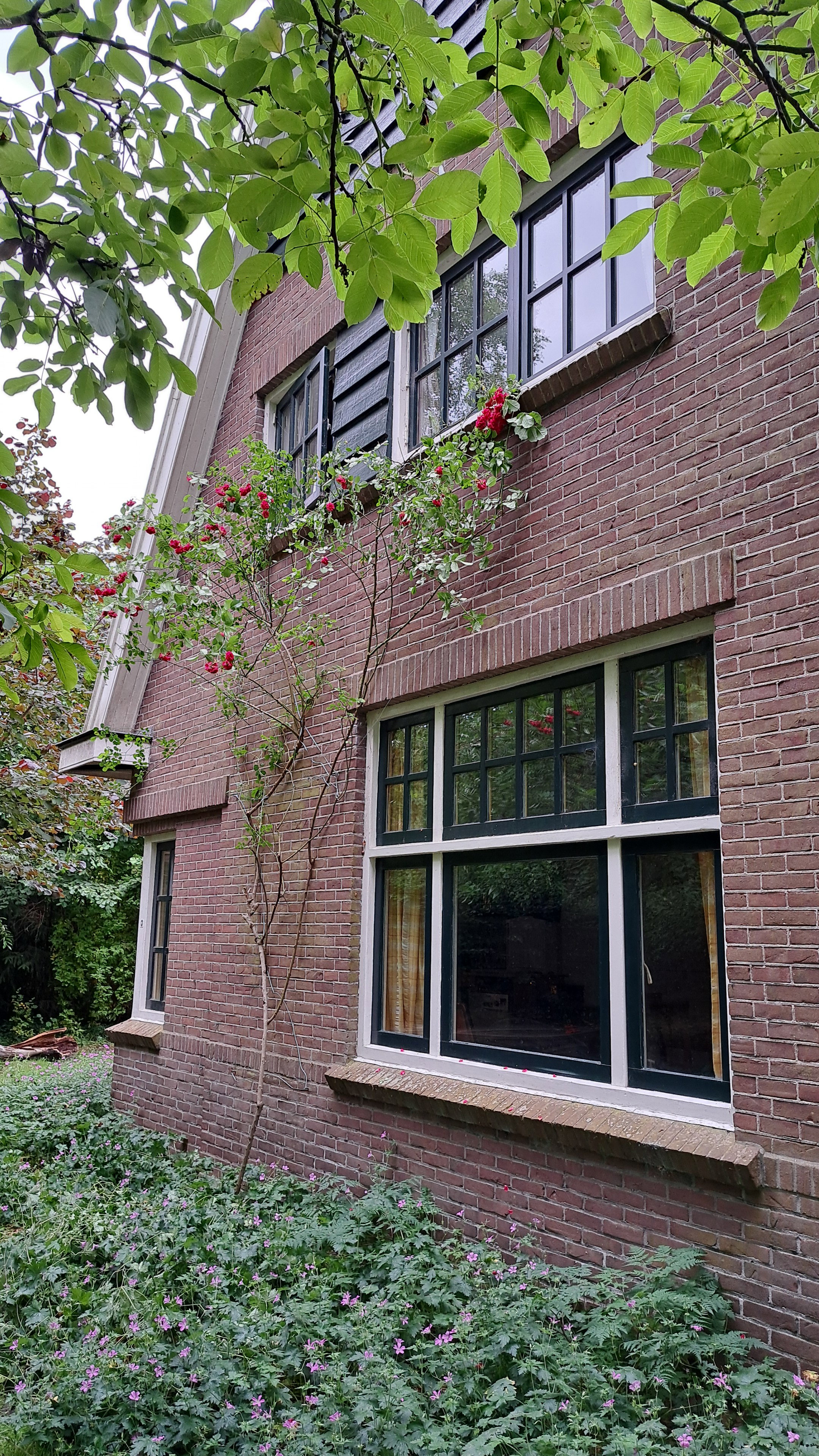 Natuurhuisje in Altena