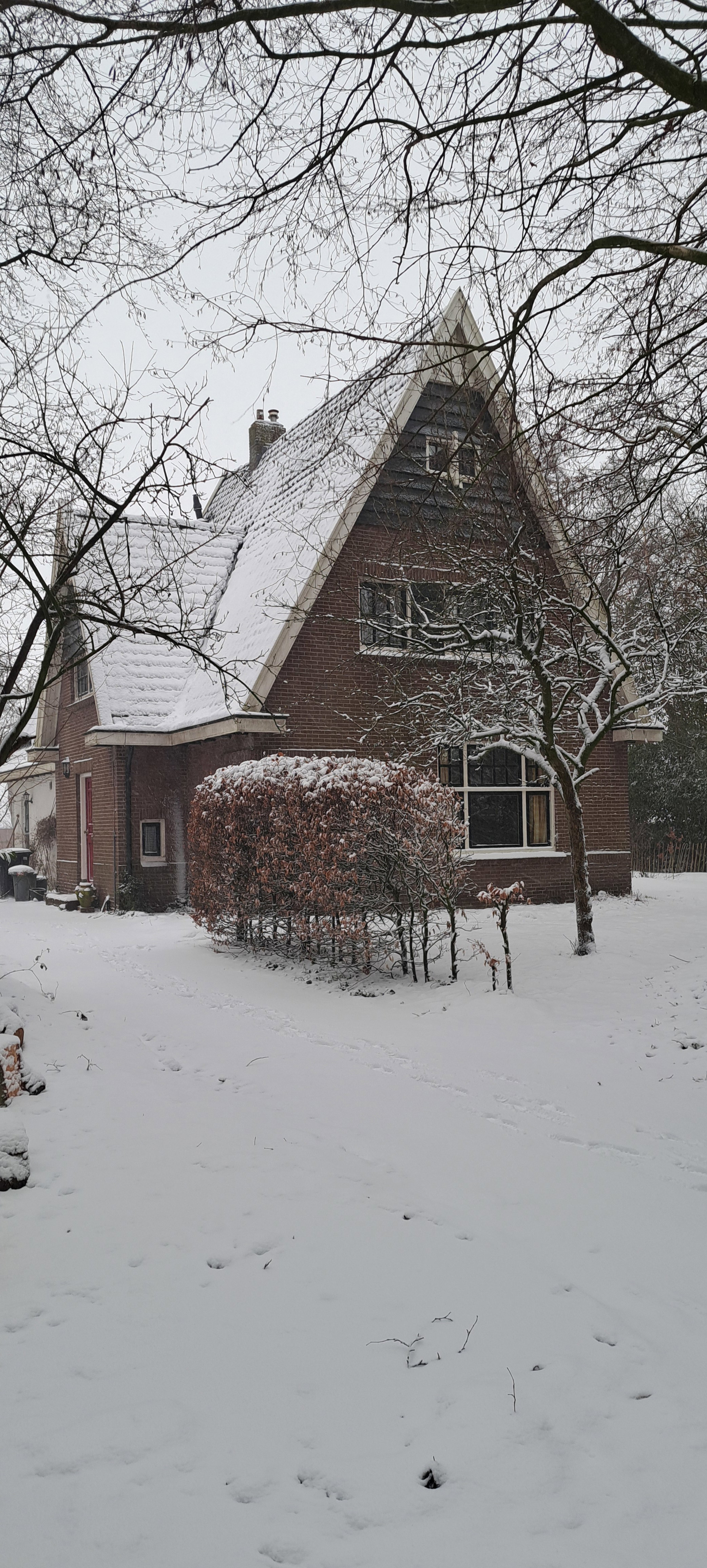 - image: 26