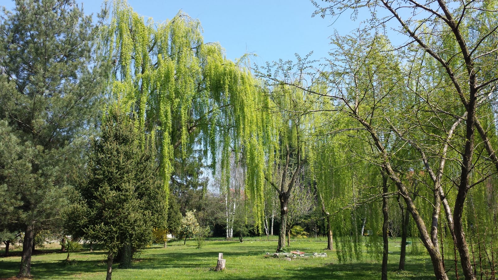 - image: 2