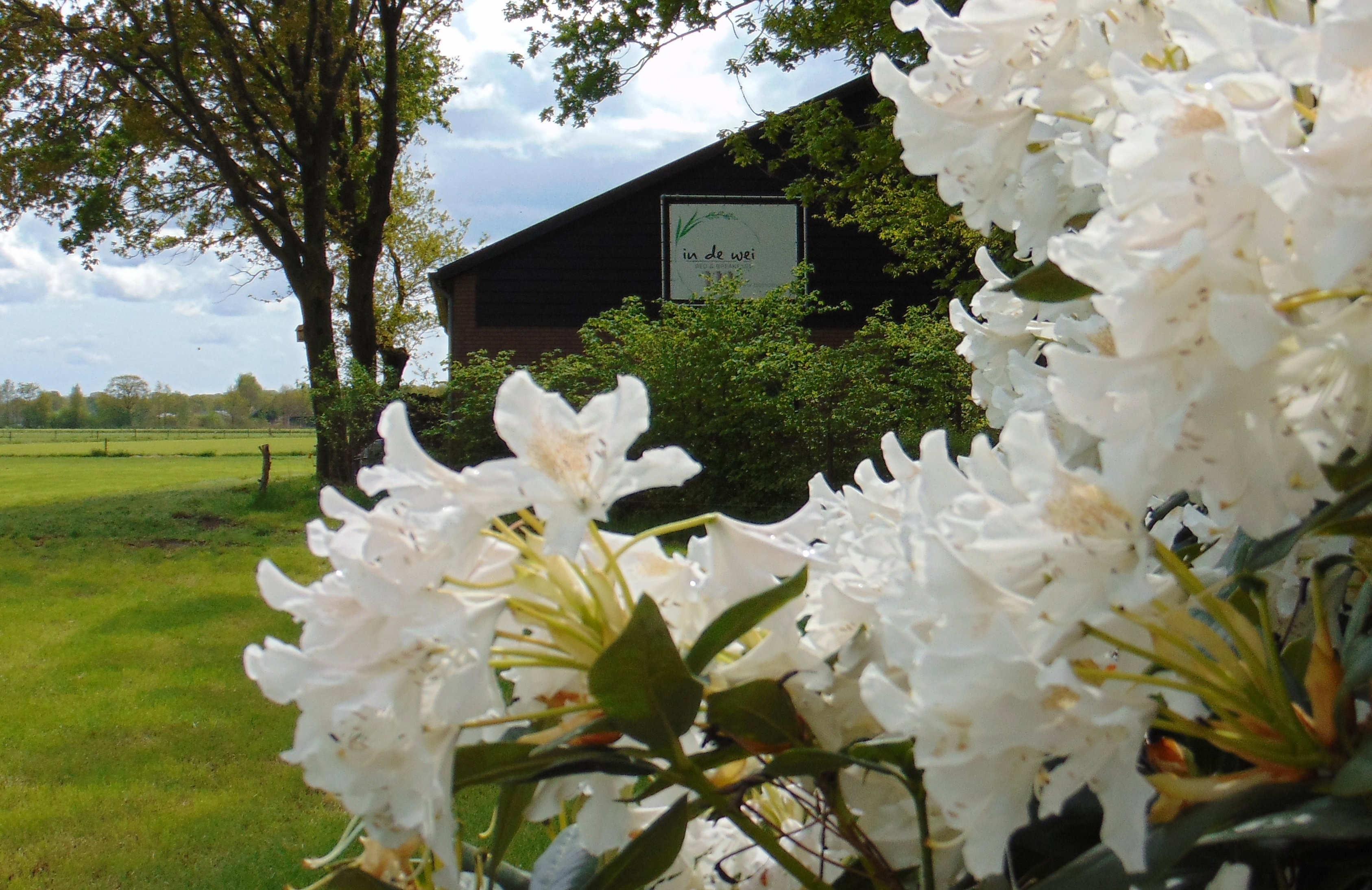 Casa nella natura a Erp