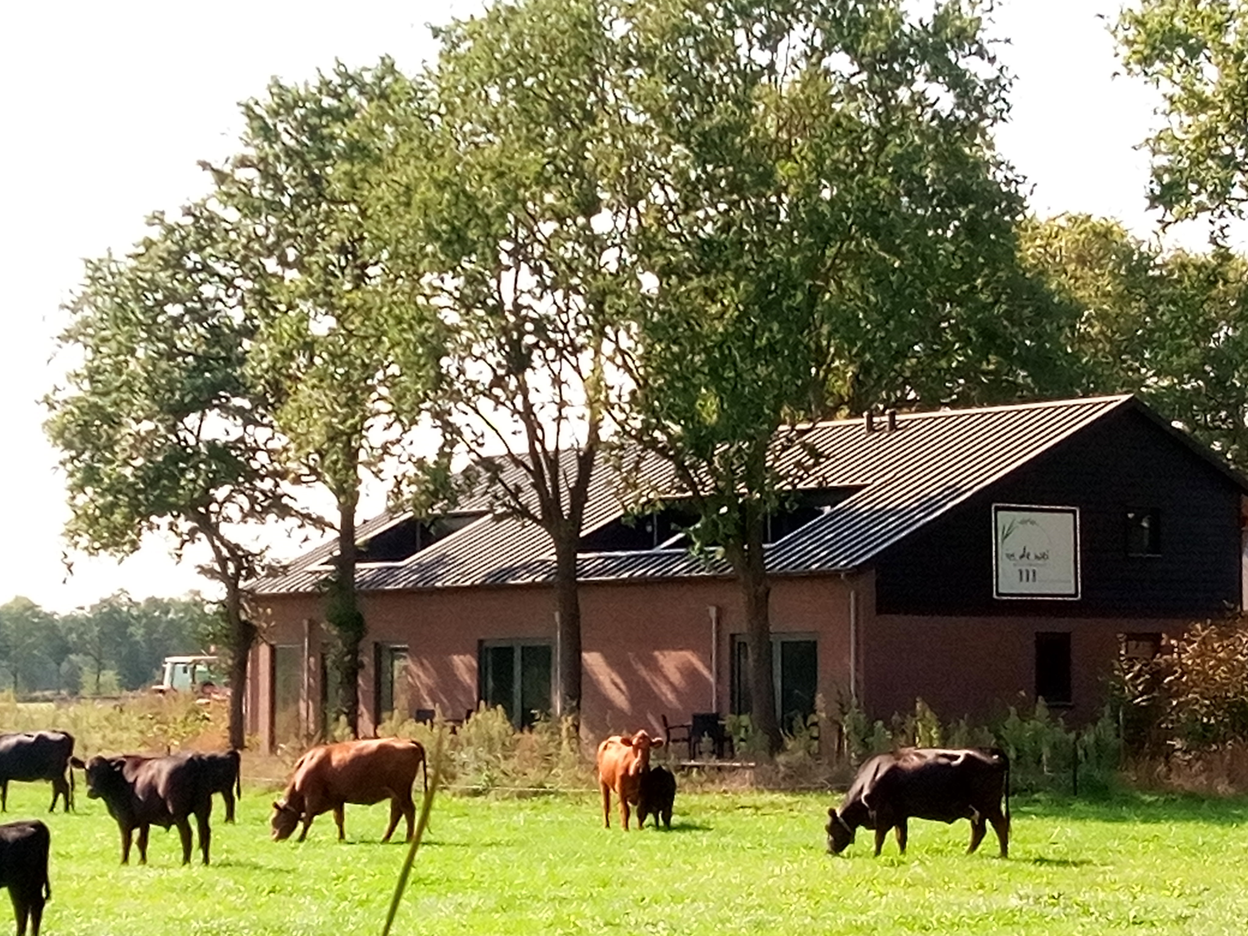 Casa nella natura a Erp