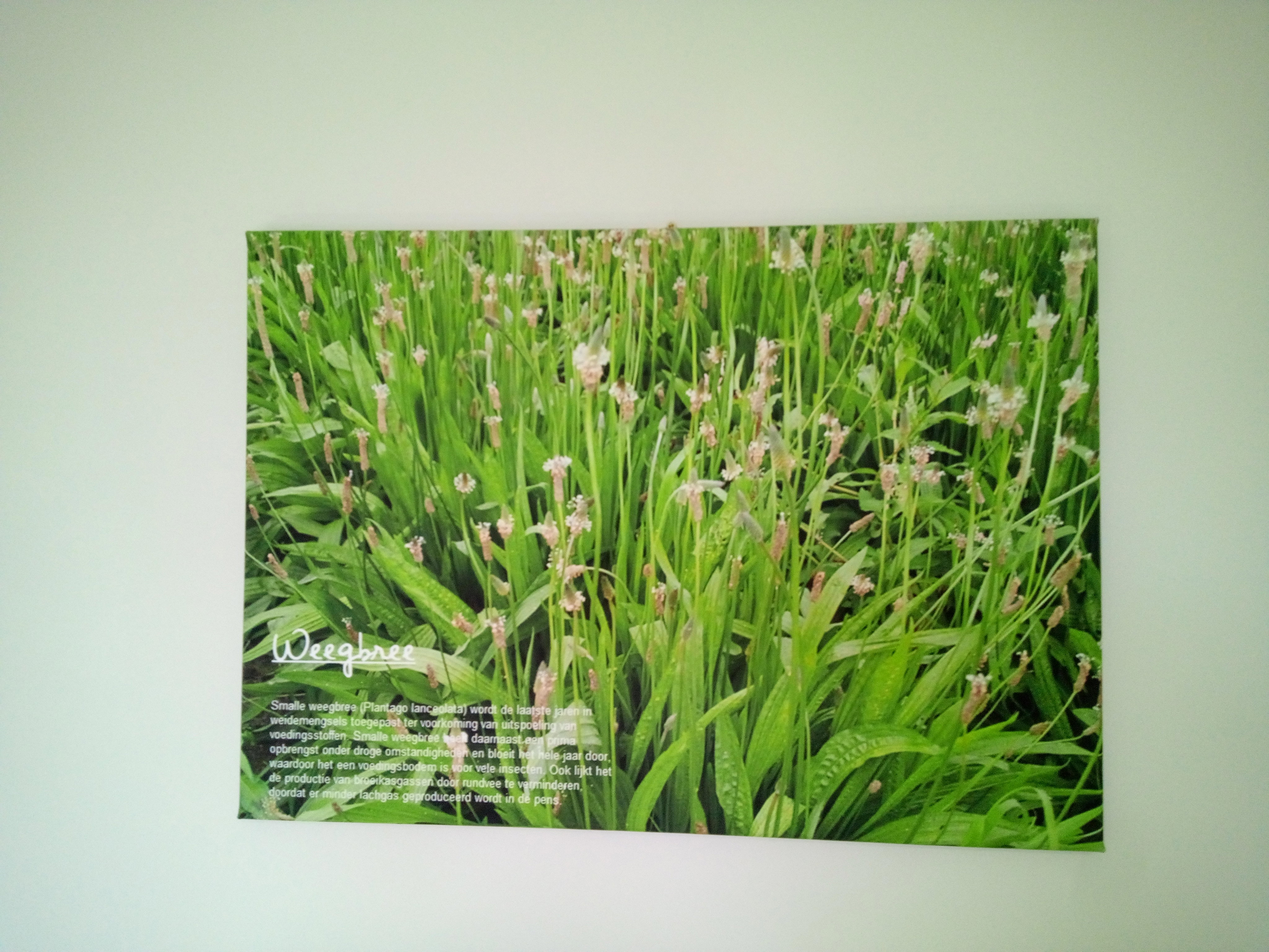 Naturhäuschen in Erp
