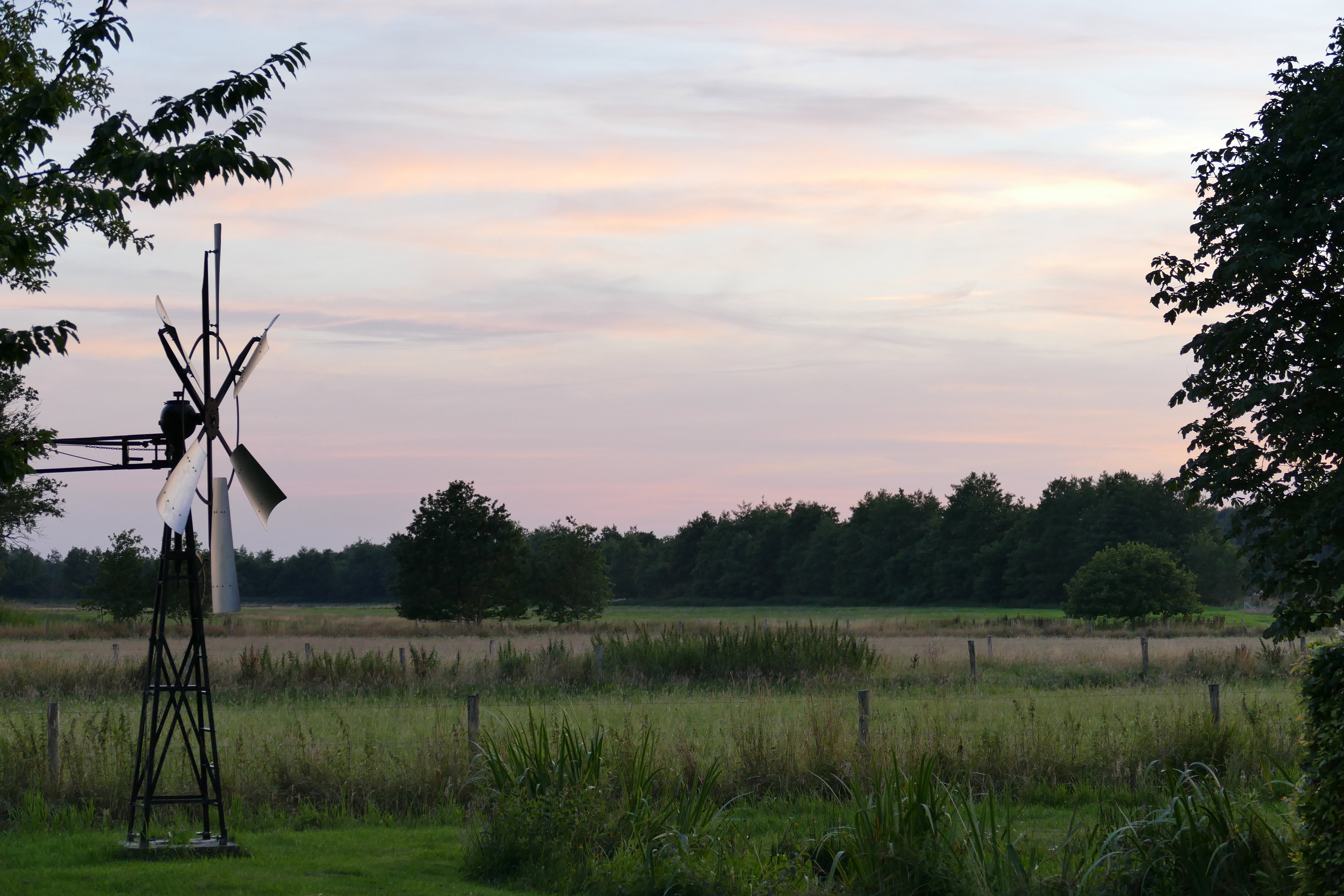 - image: 11