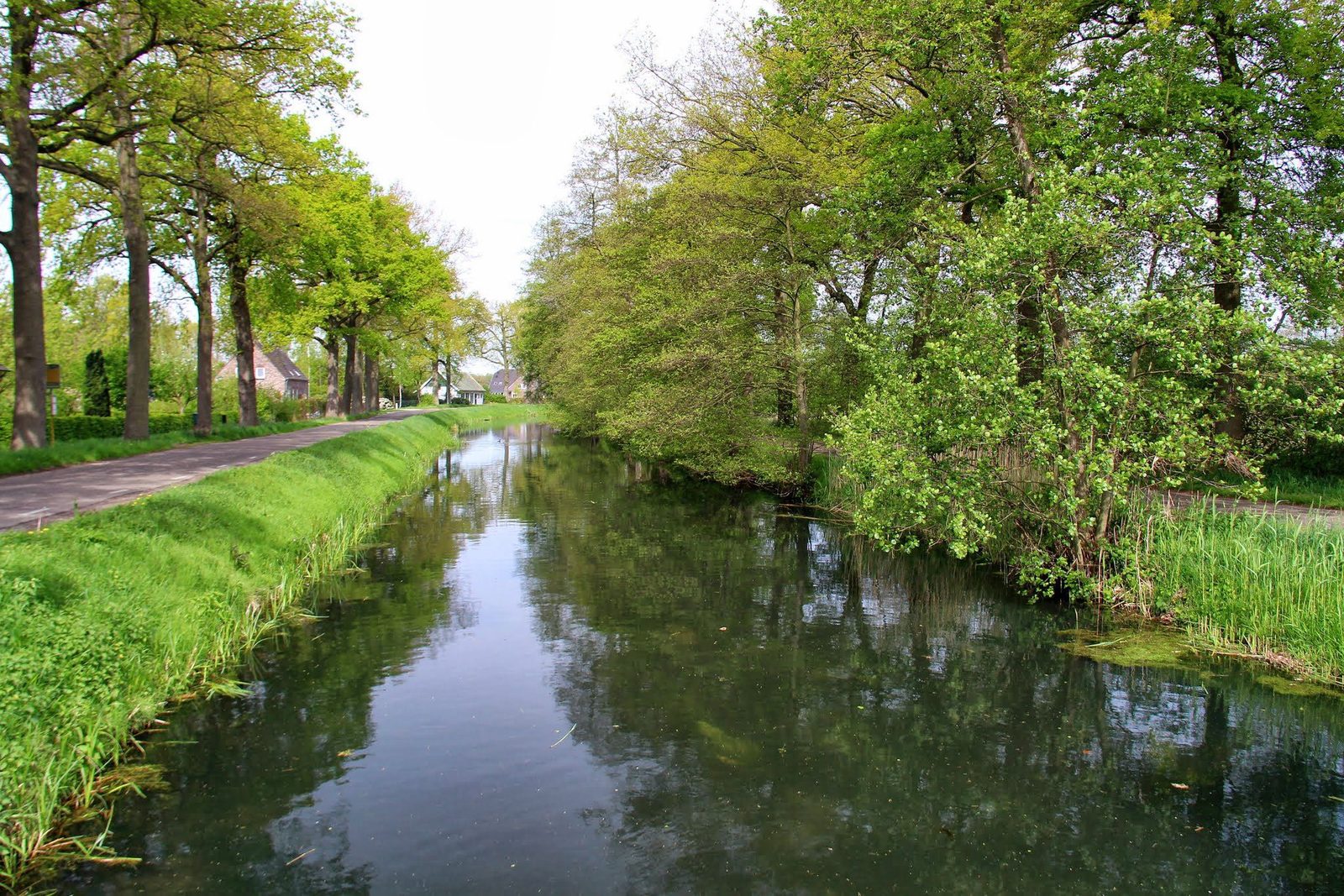 - image: 14