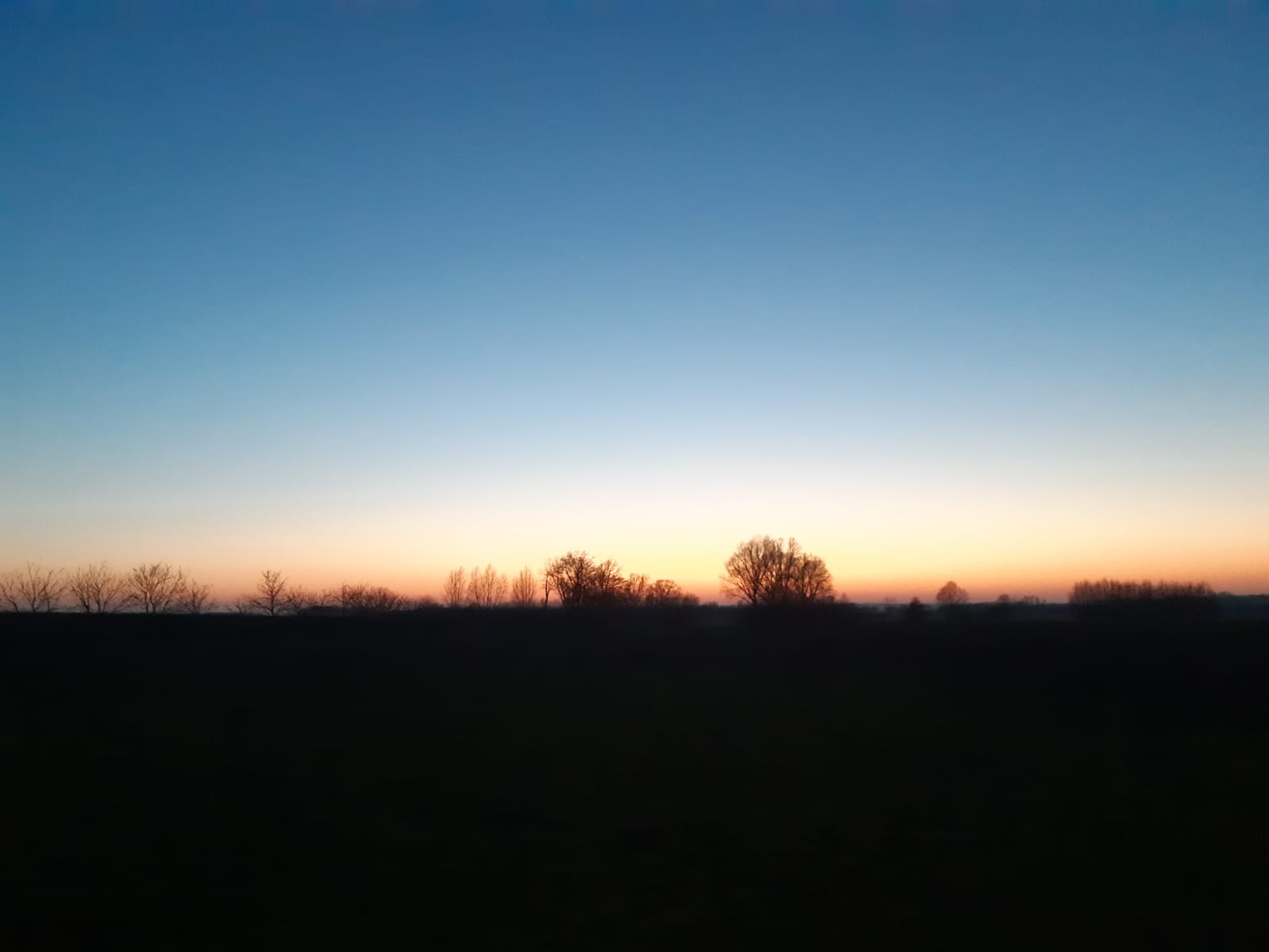 - image: 12
