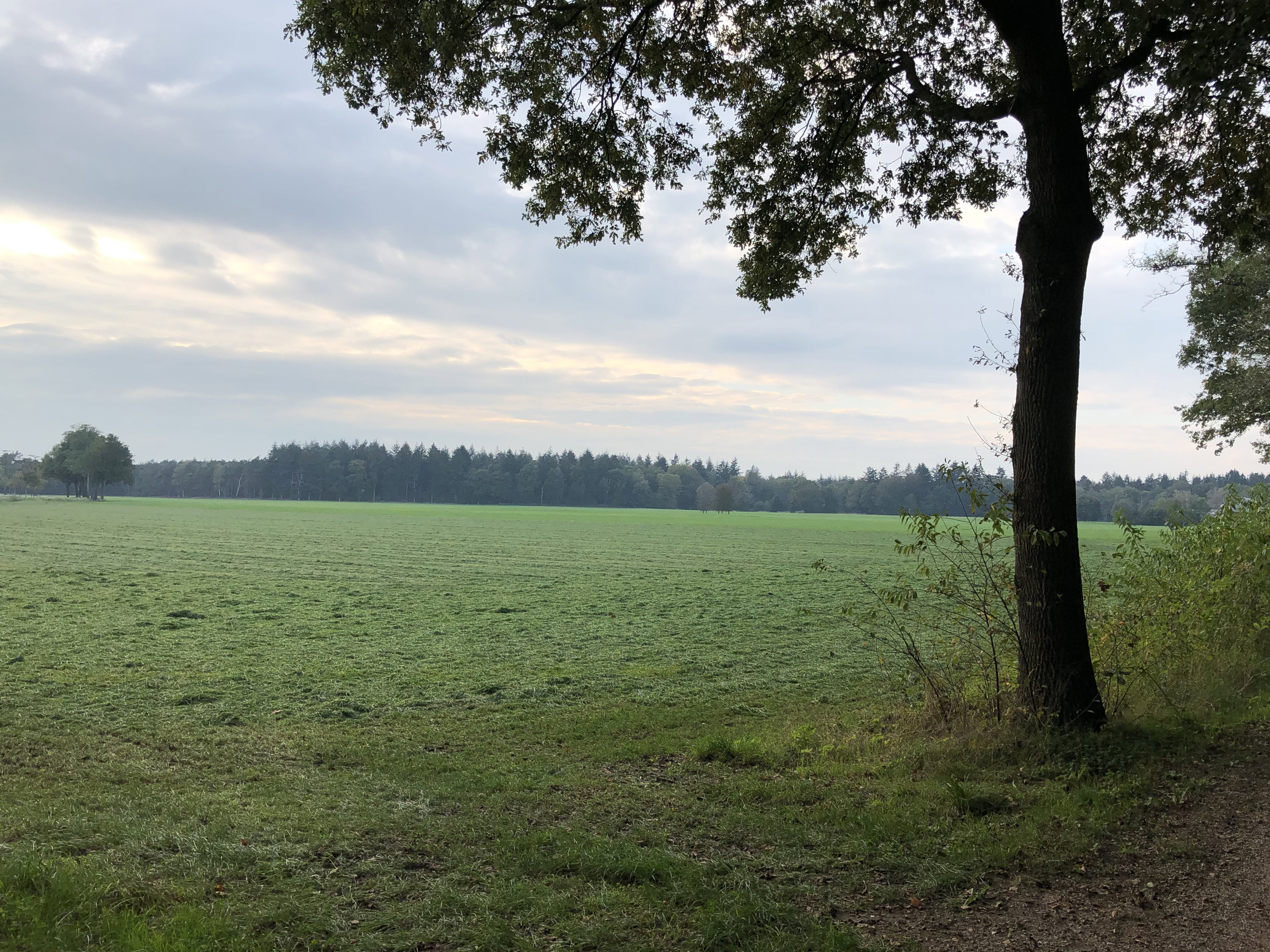 Naturhäuschen in Zelhem