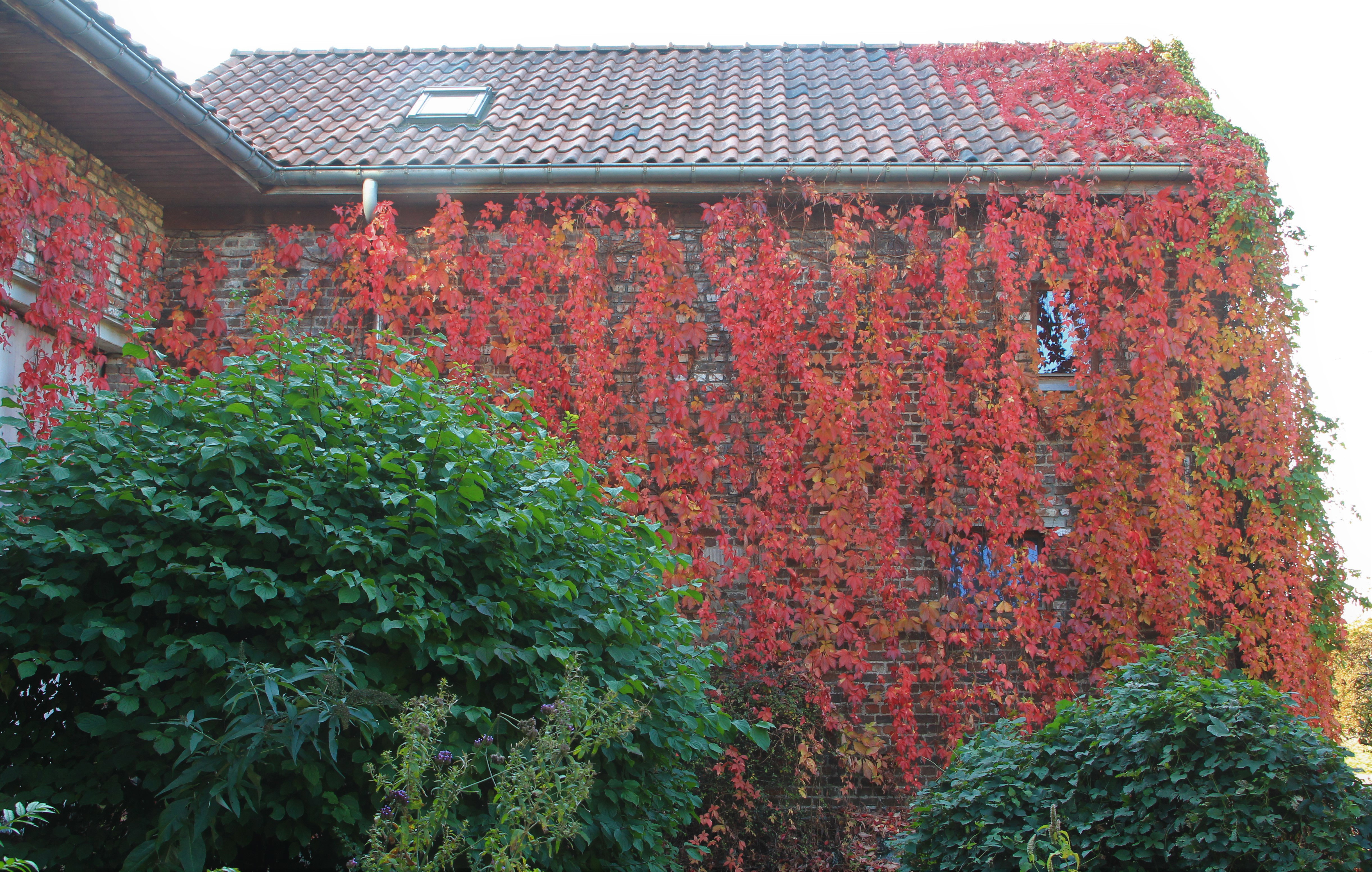 Natuurhuisje in Bertrée