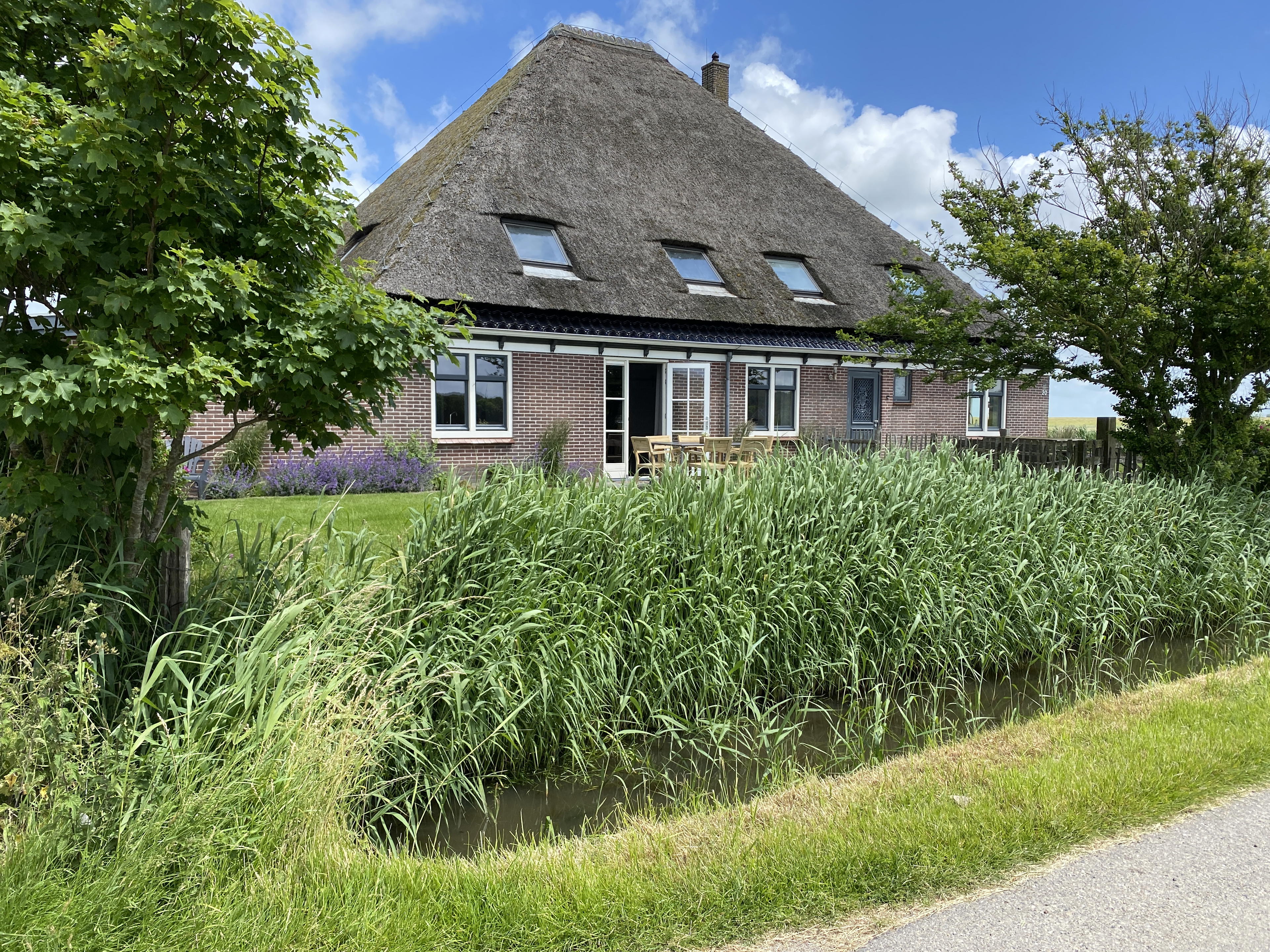 Nature house in Schoorl