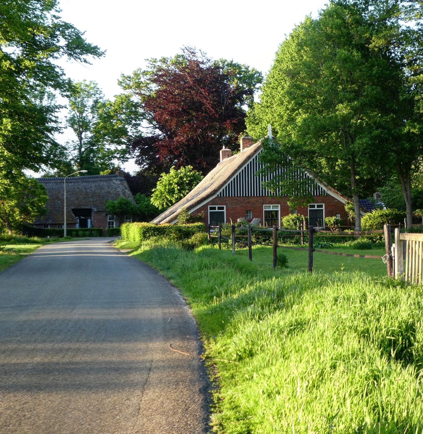 - image: 27