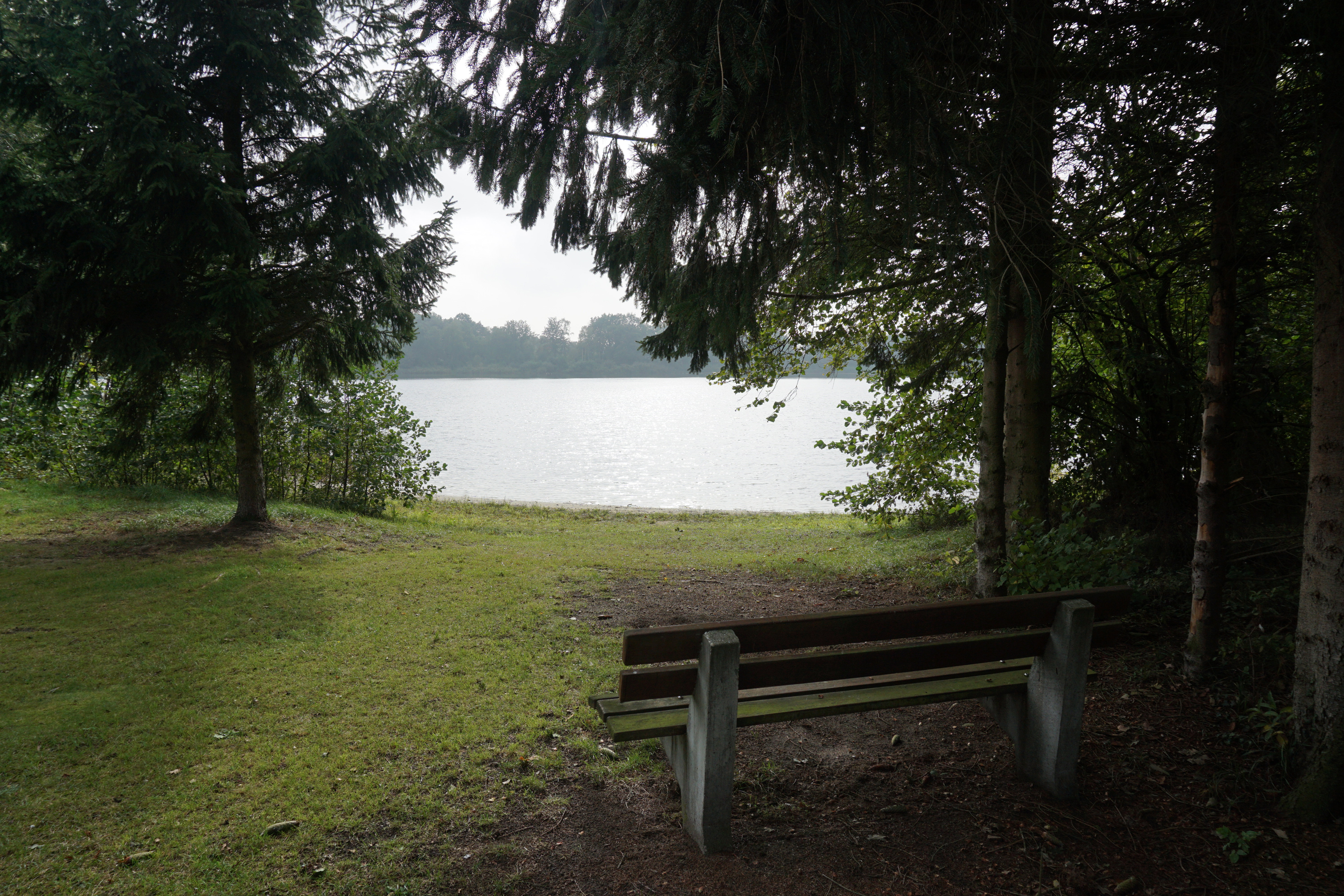 - image: 25