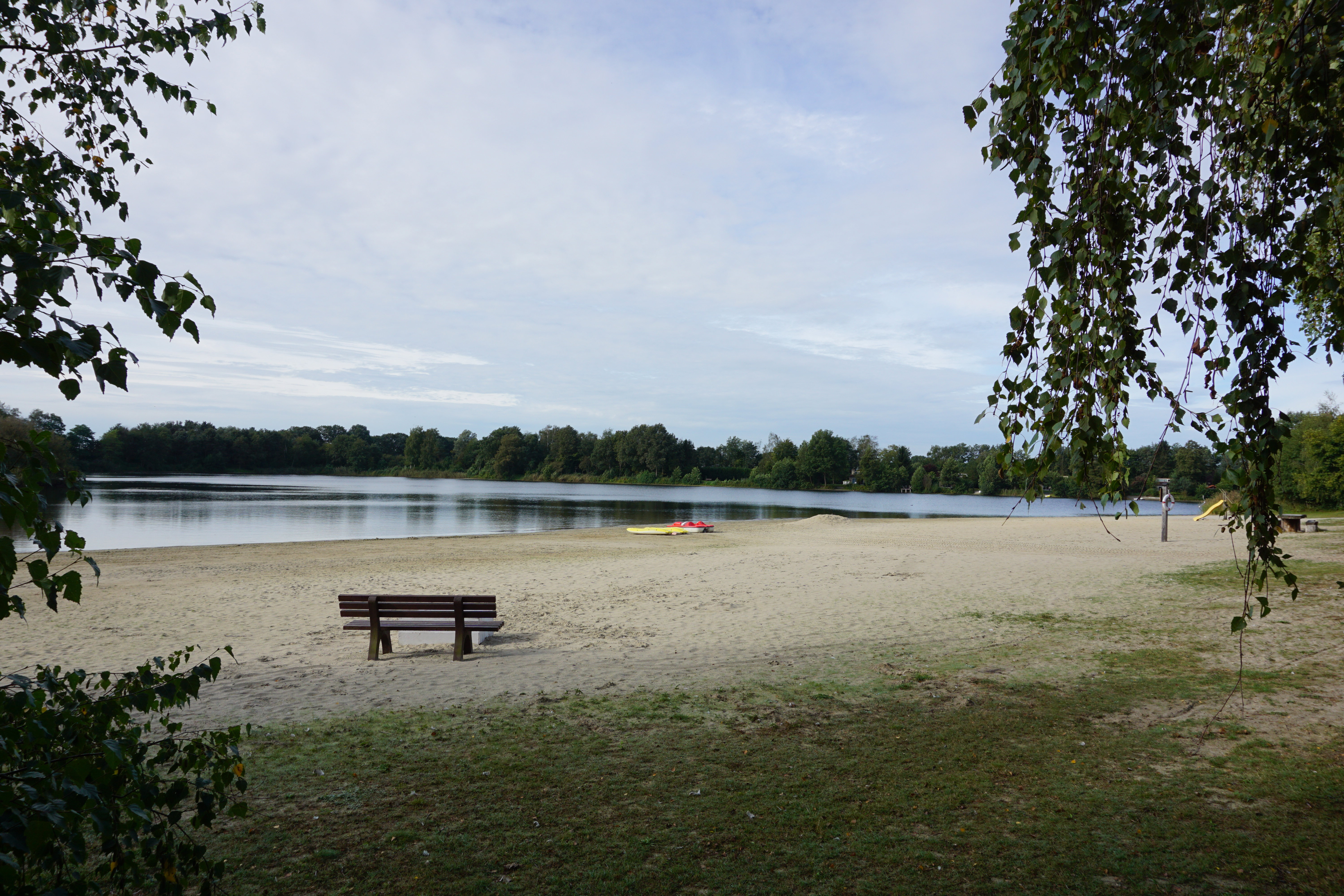 - image: 26