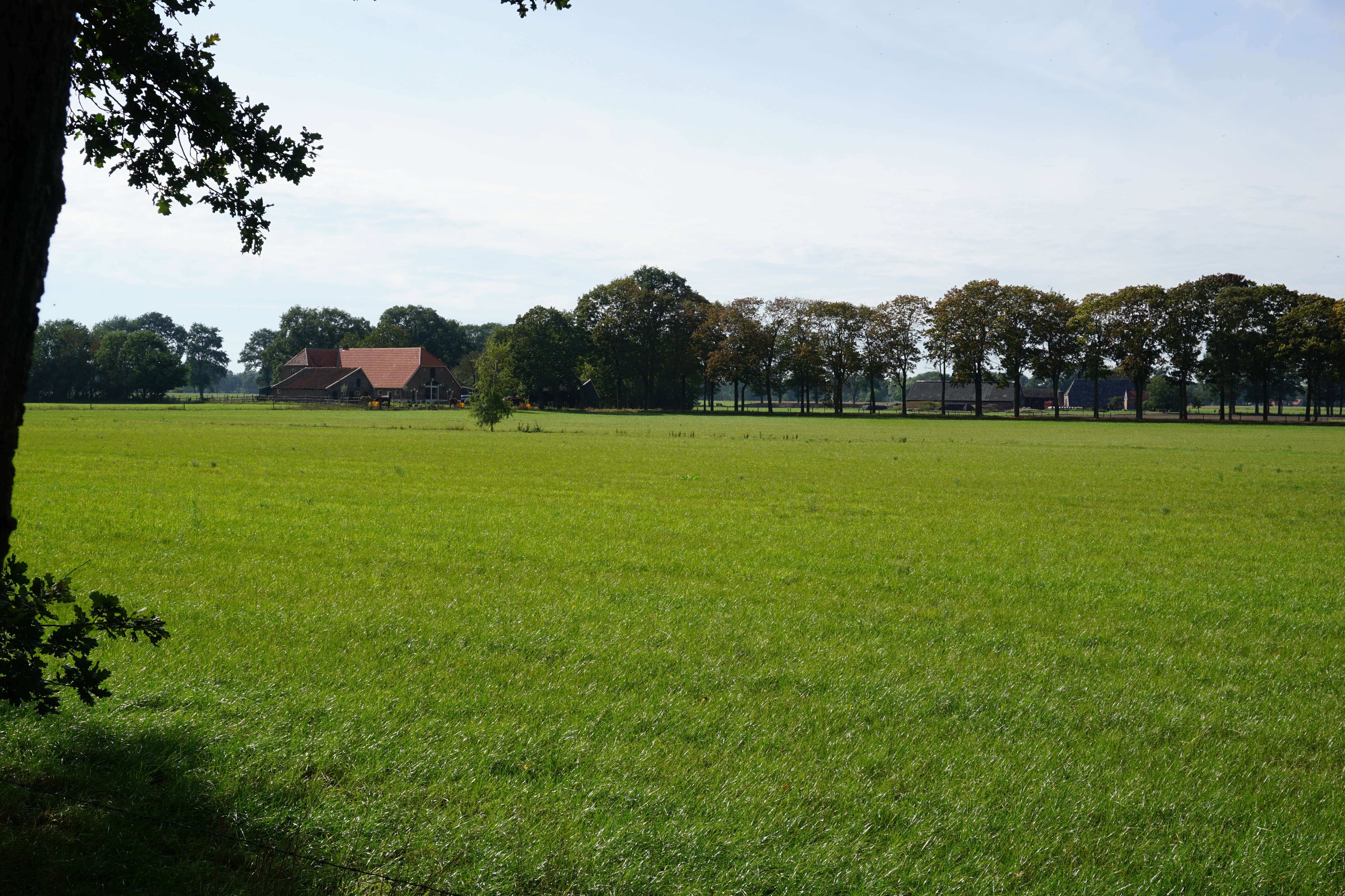 Naturhäuschen in Eibergen