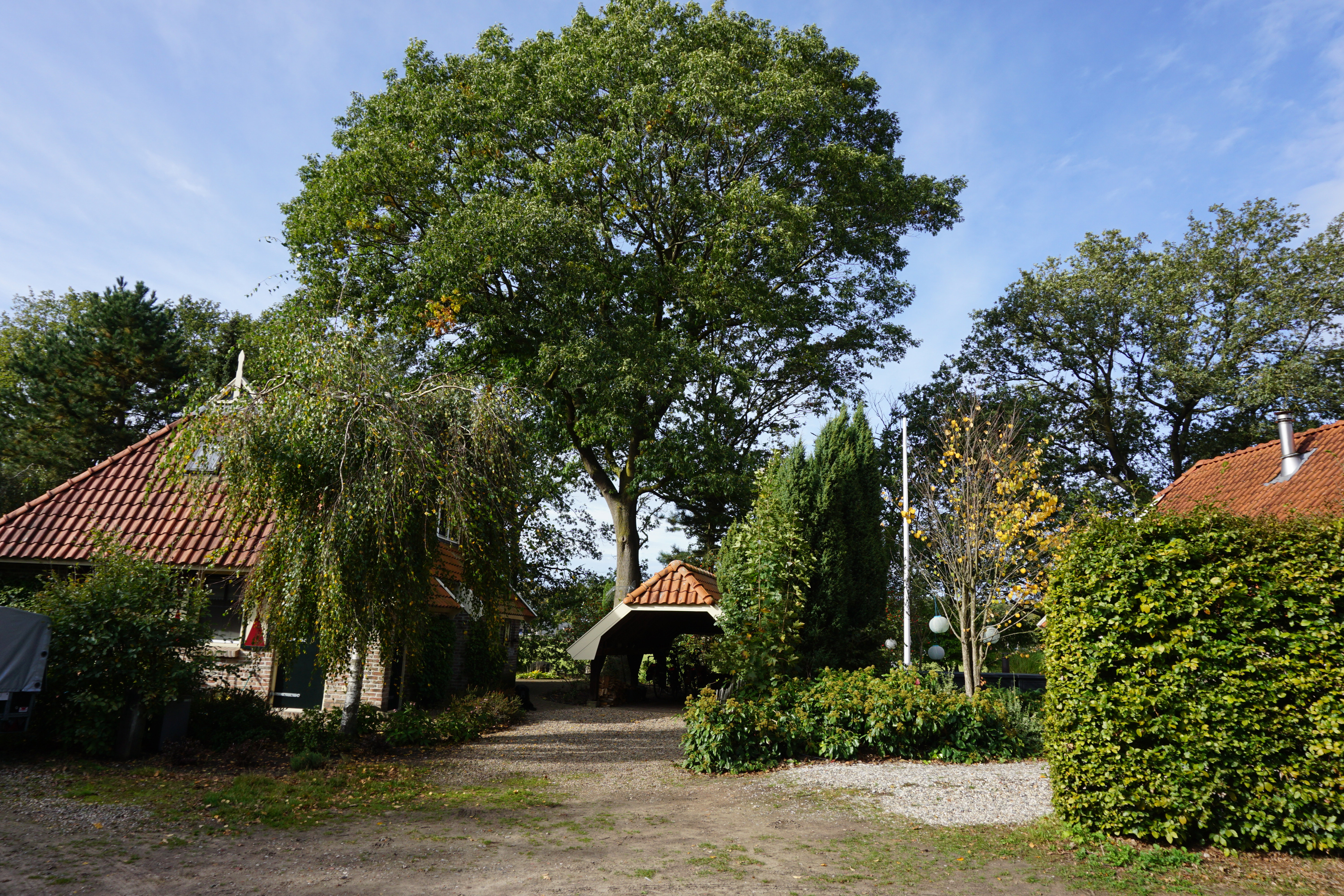 - image: 22