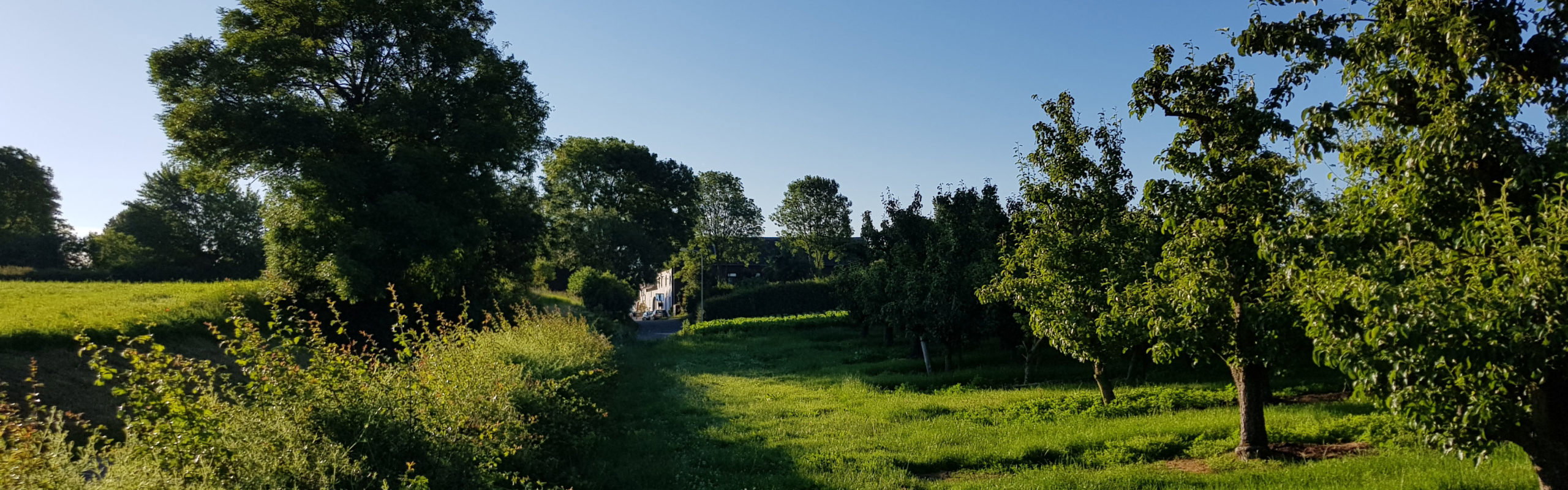Natuurhuisje in Bemelen